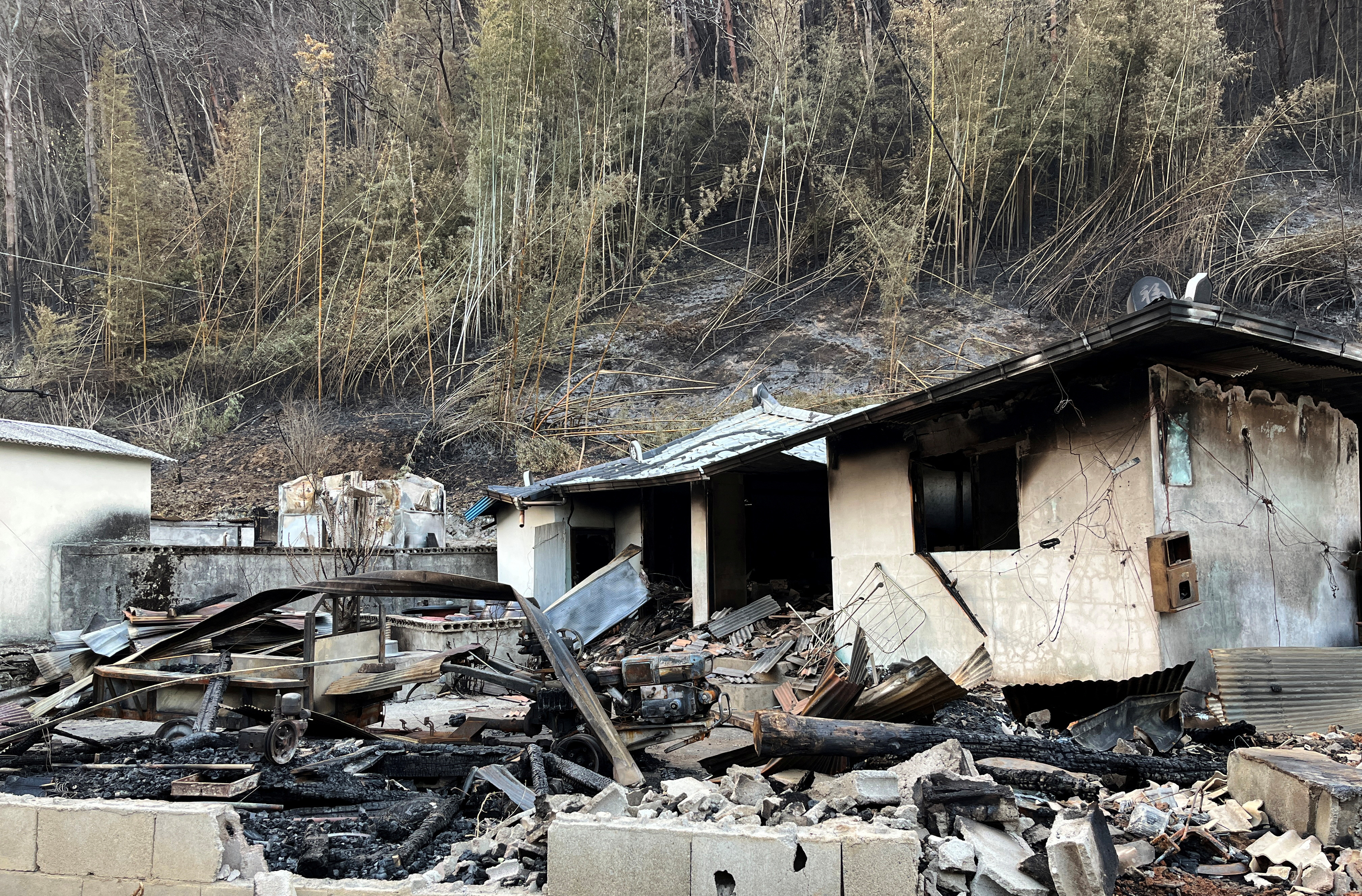 In pictures: South Korea wildfires rage, forcing evacuations