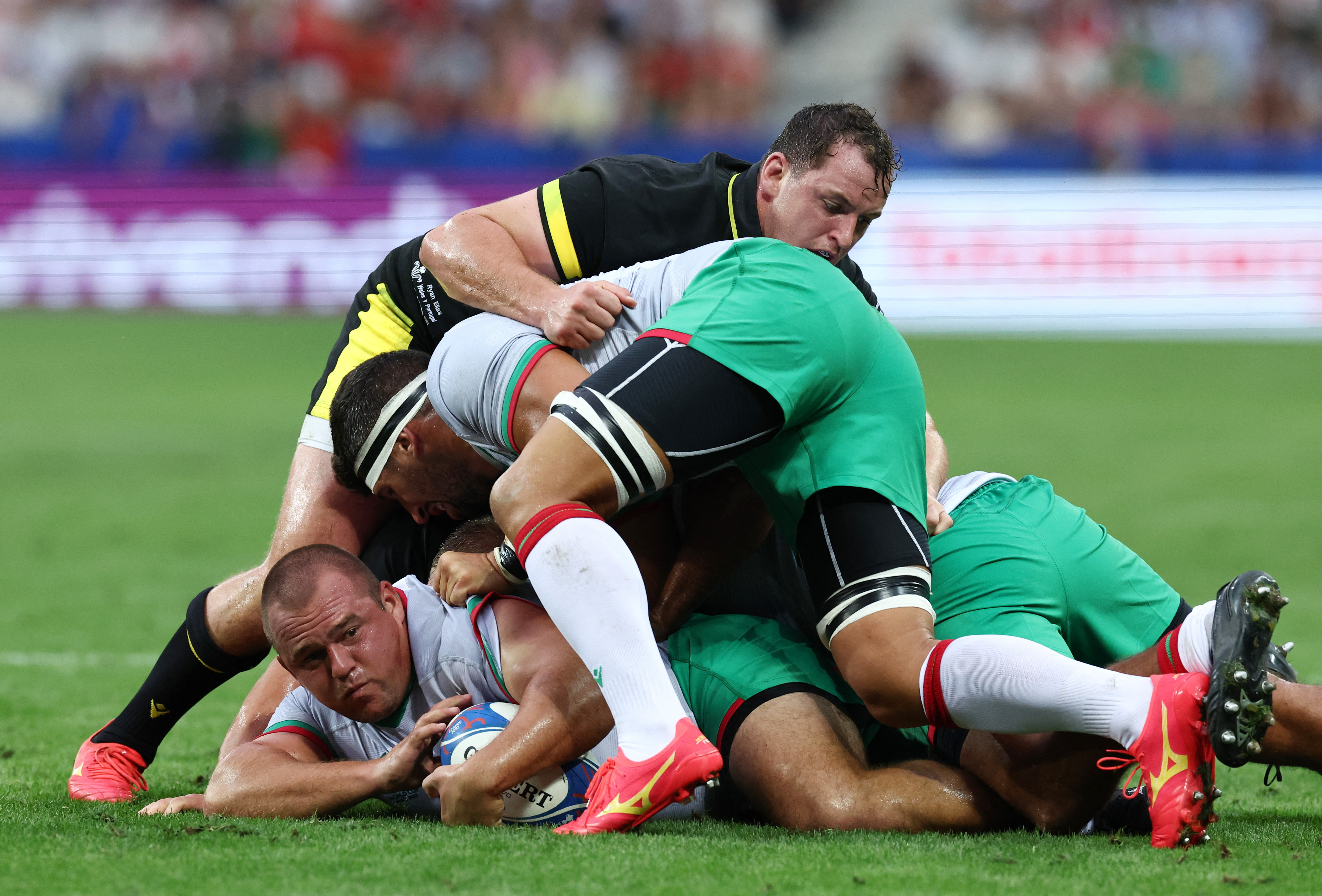 Rugby World Cup: Warren Gatland backs Wales to reach final ahead of Pool C  game against Portugal, Rugby Union News