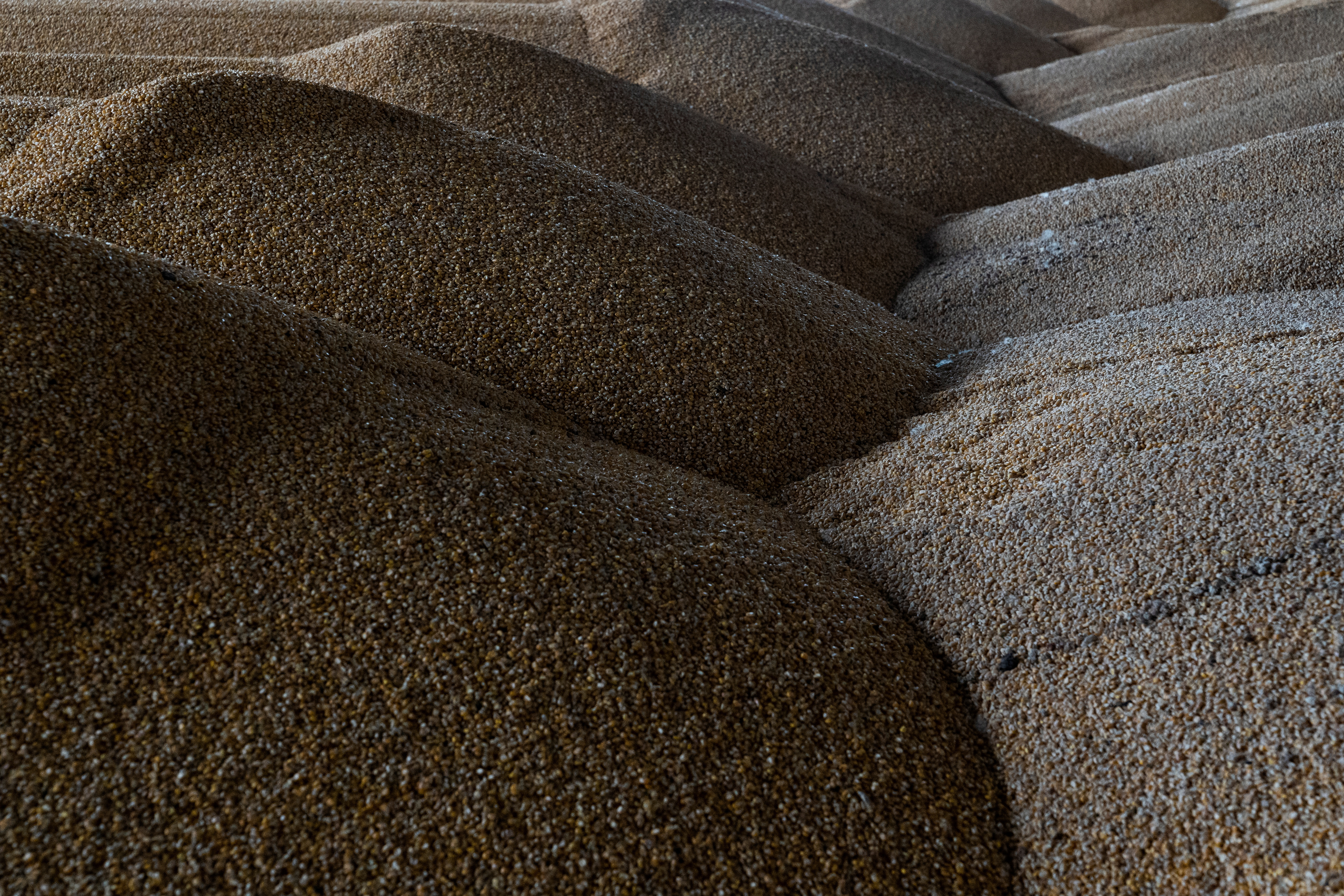 FILE PHOTO - Corn kernels are seen inside a storage at a farm in the village of Yerkivtski
