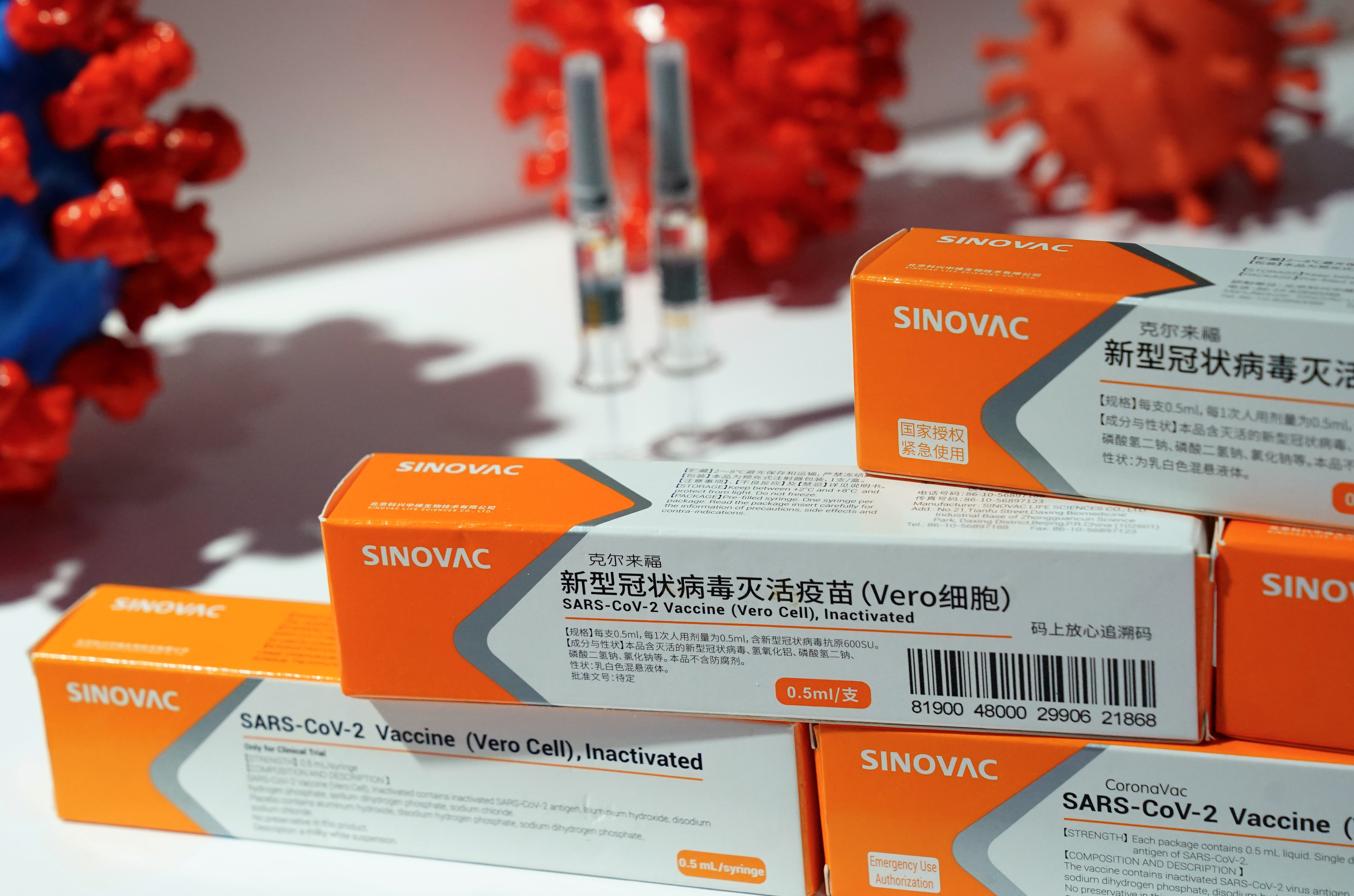 Booth displaying a coronavirus vaccine candidate from Sinovac Biotech Ltd is seen at the 2020 China International Fair for Trade in Services (CIFTIS), following the COVID-19 outbreak, in Beijing