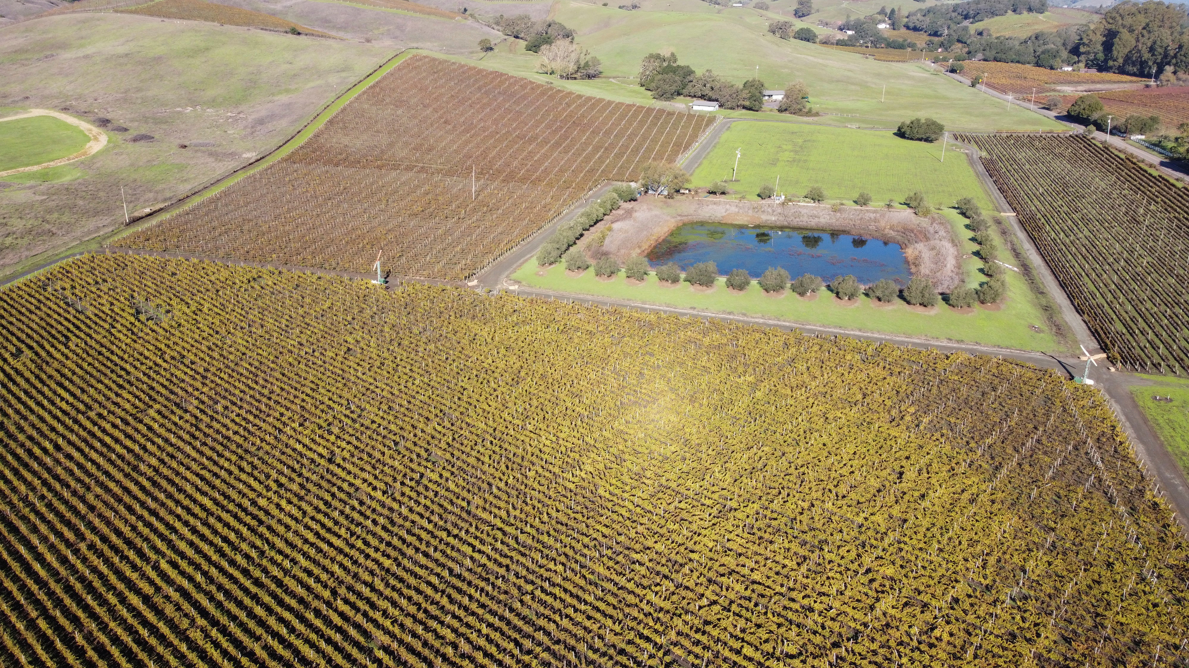 Pine Ridge Vineyard's Carneros appellation is seen in Napa, California, U.S. November 11, 2021.  Picture taken with a drone on November 11, 2021. REUTERS/Nathan Frandino