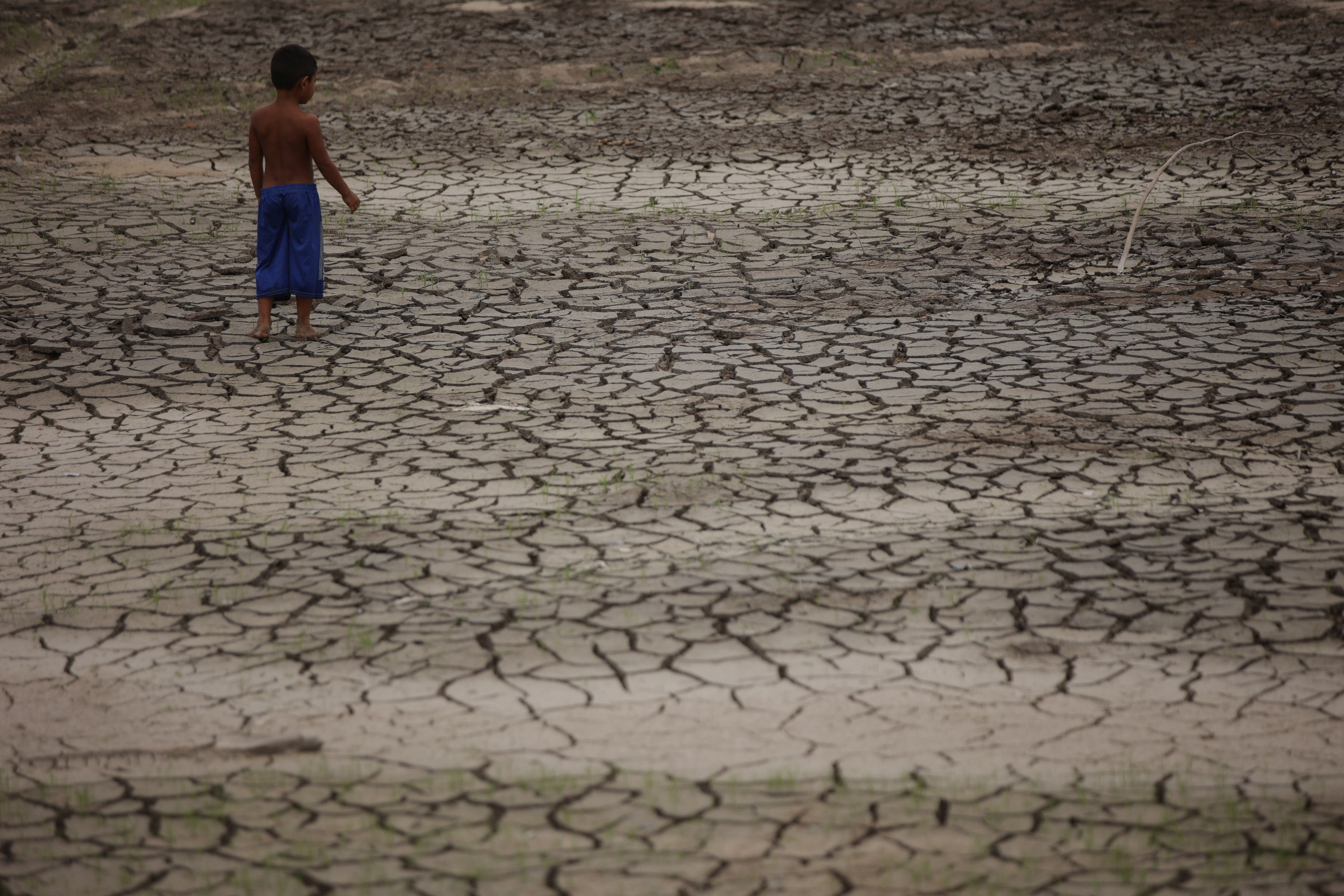 Brazil drought reduces Amazon river port water levels to 121-year record low