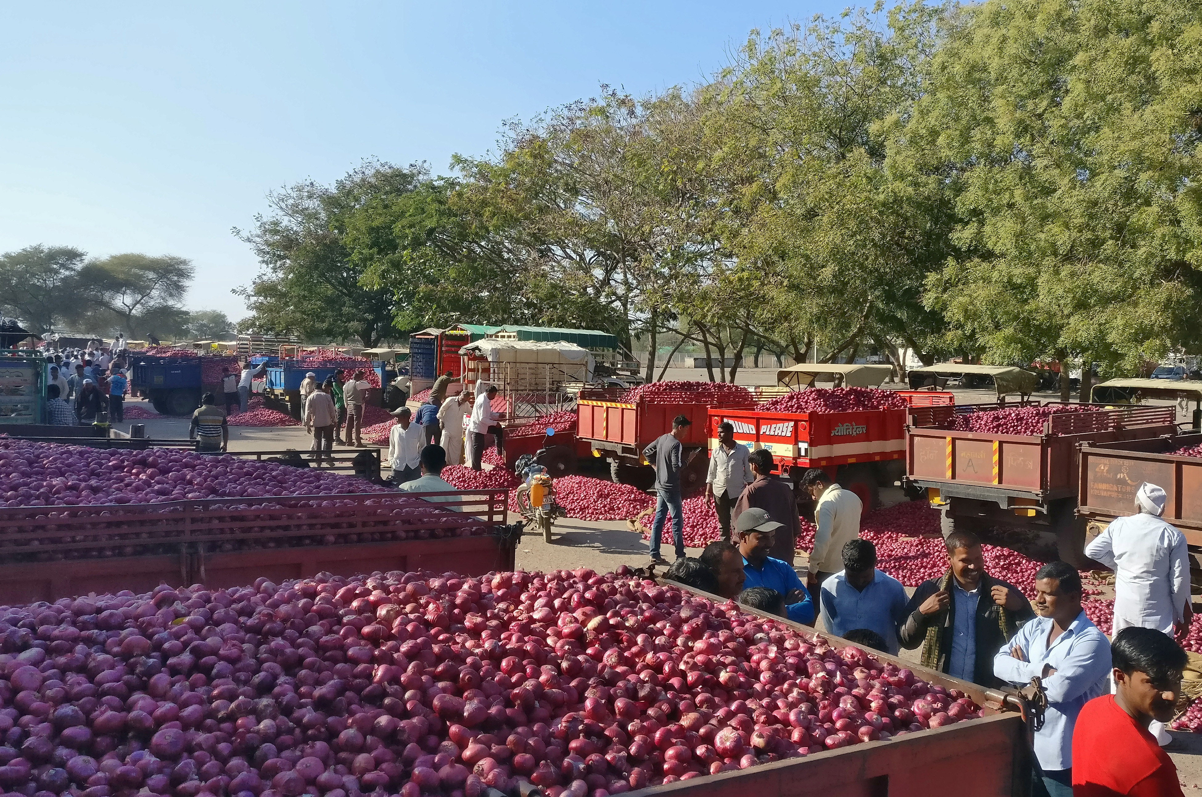 Farmers wait for the auction of onions at Lasalgaon market in Nashik district