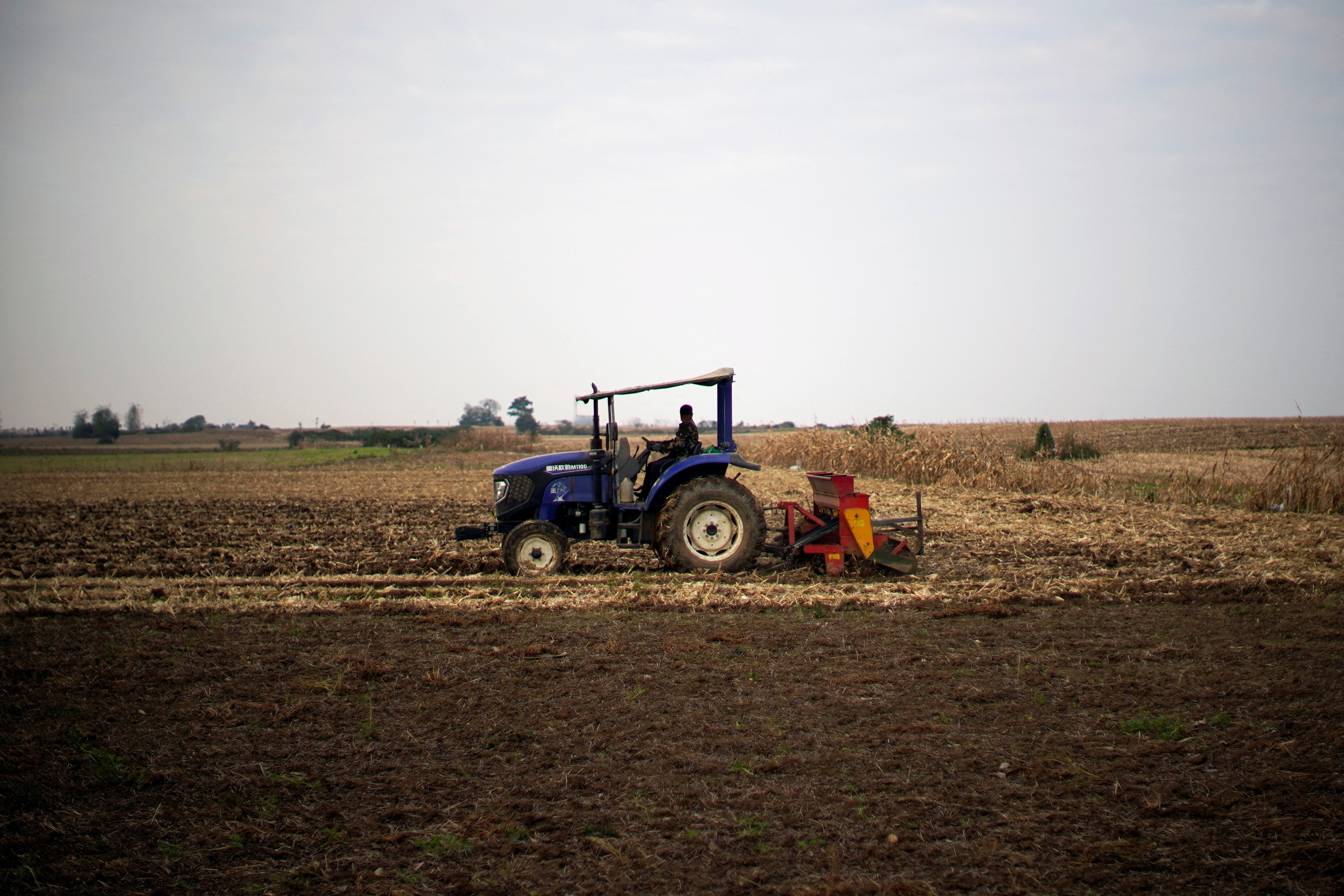 Farmer operates a tractor with a seeder on a wheat field in Nanyang