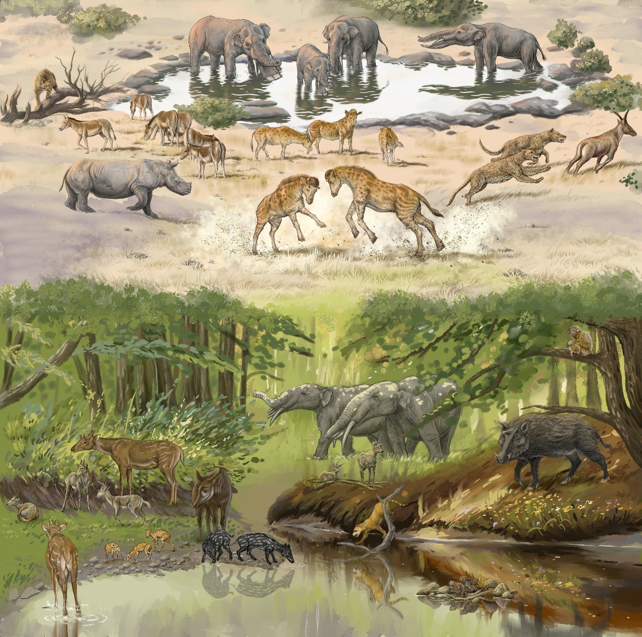 Diverse community of animals that lived alongside the newly described giraffe forerunner Discokeryx xiezhi