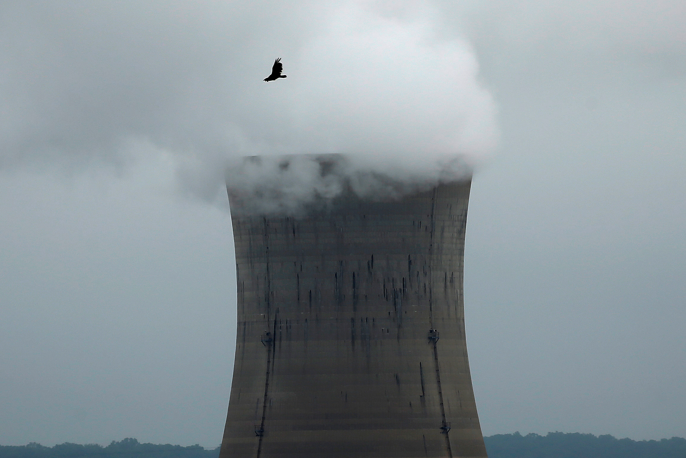 A bird flies over the Three Mile Island Nuclear power plant in Goldsboro