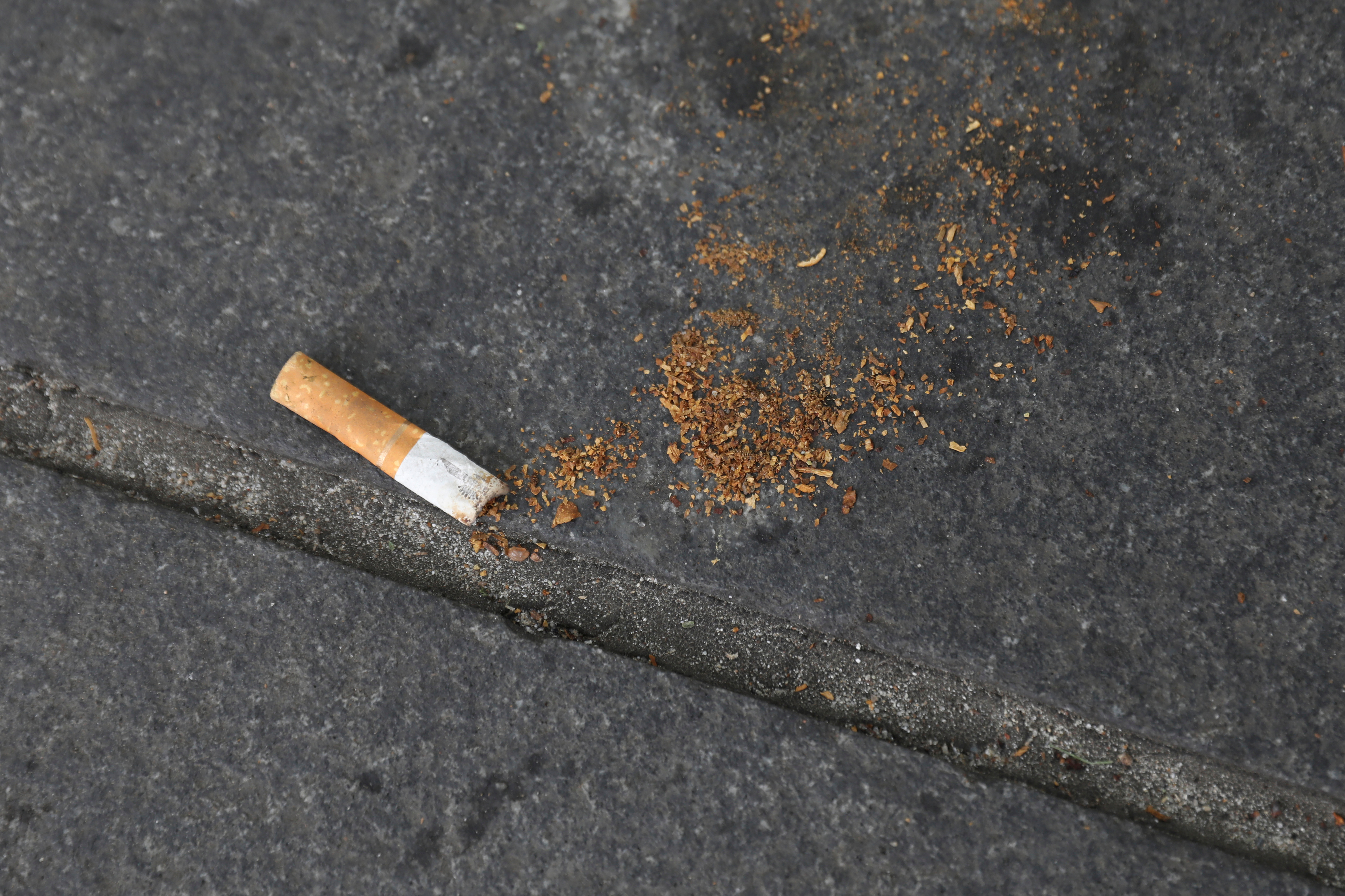 FILE PHOTO - A cigarette butt lies on a street in New York