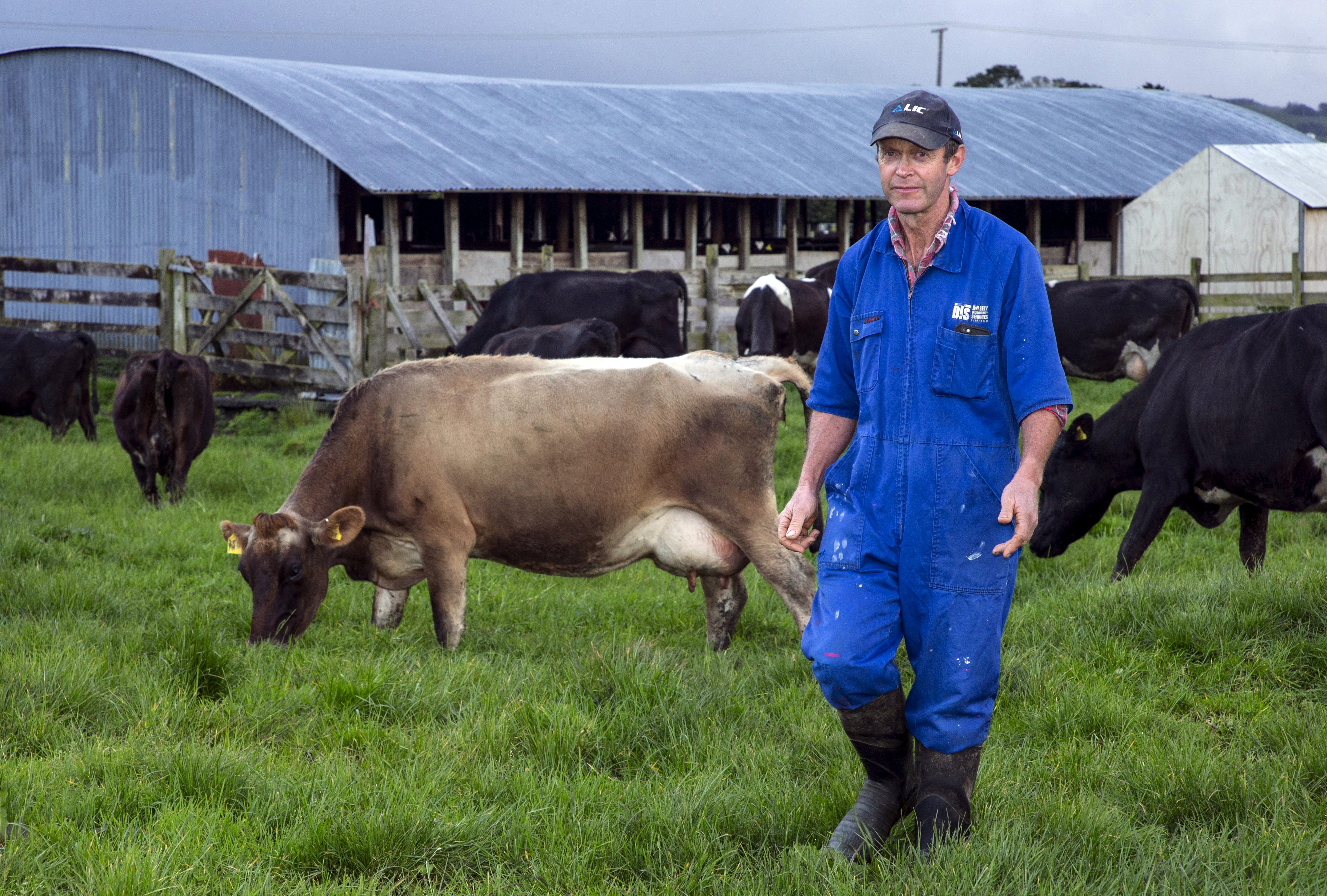 Dairy farmer Keith Trotter stands in a field near milking sheds amongst his herd of cows on his farm in the town of Matakana, located north of Auckland, New Zealand