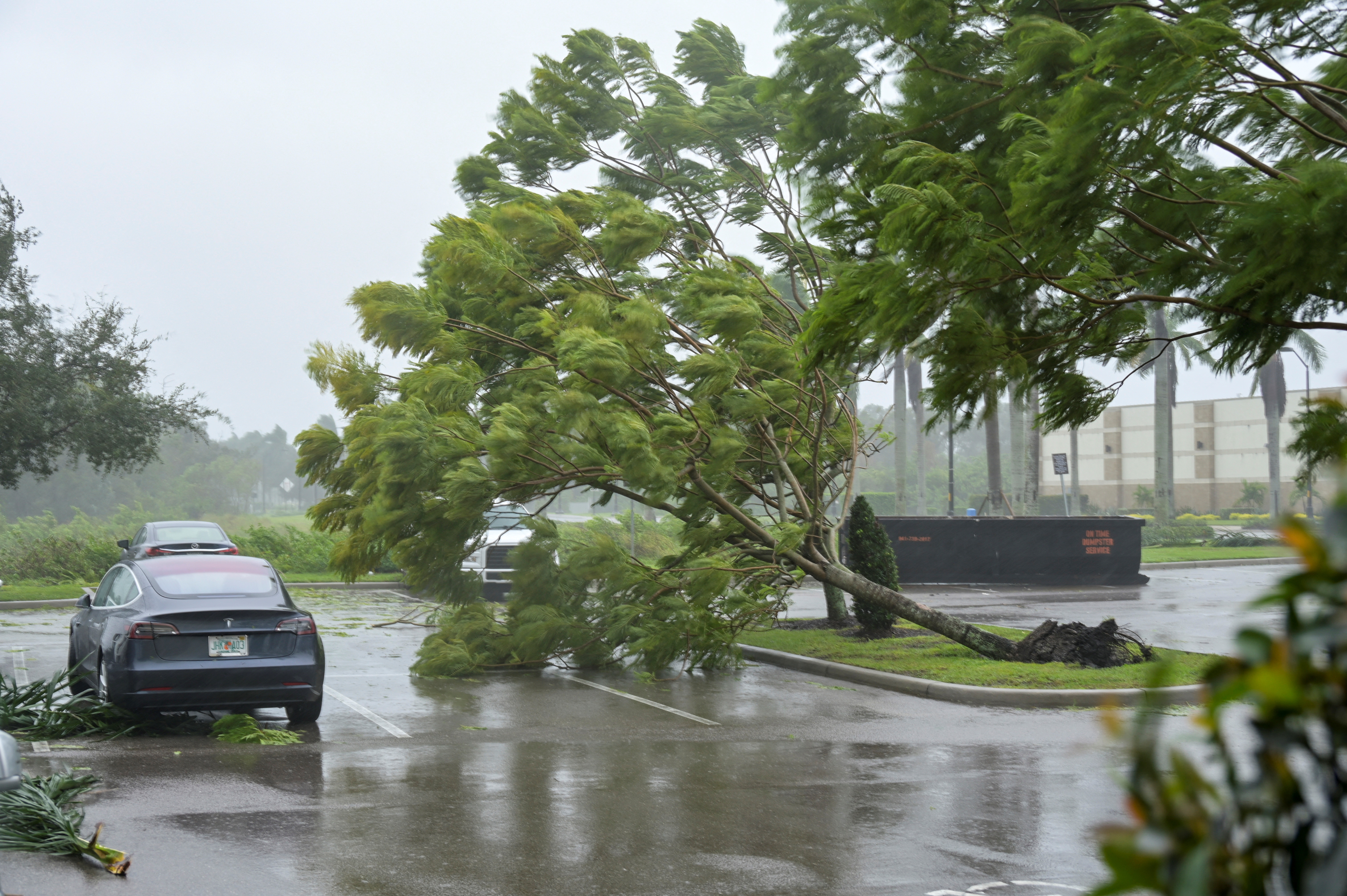 Gusts from Hurricane Ian begin to knock down small trees and palm fronds in a hotel parking lot in Sarasota