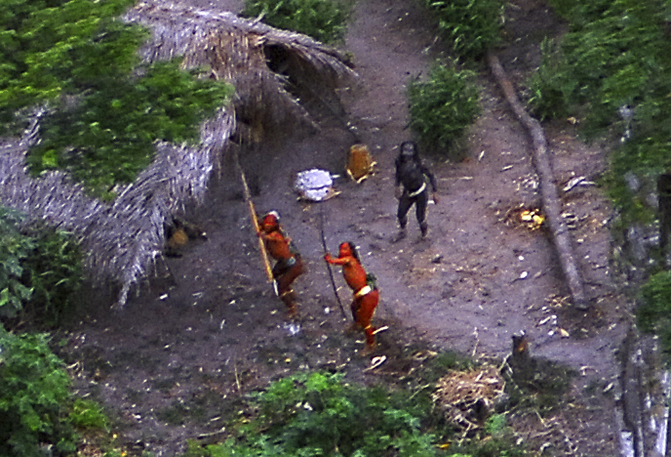 Handout photo shows members of an uncontacted Amazon Basin tribe and their dwellings during a flight over the Brazilian state of Acre along the border with Peru