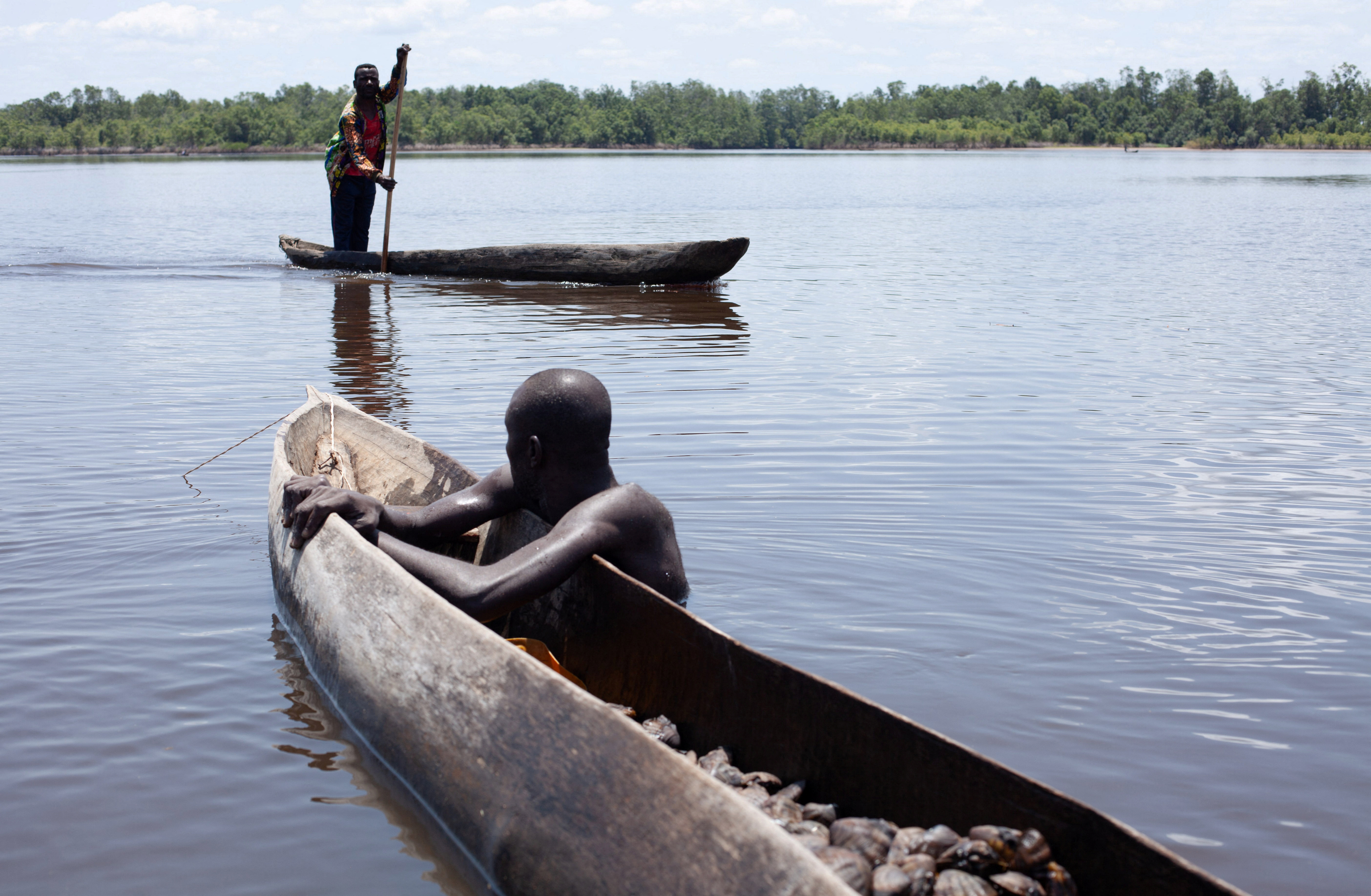 Clam-fishing Congolese see livelihood squeezed to protect mangroves