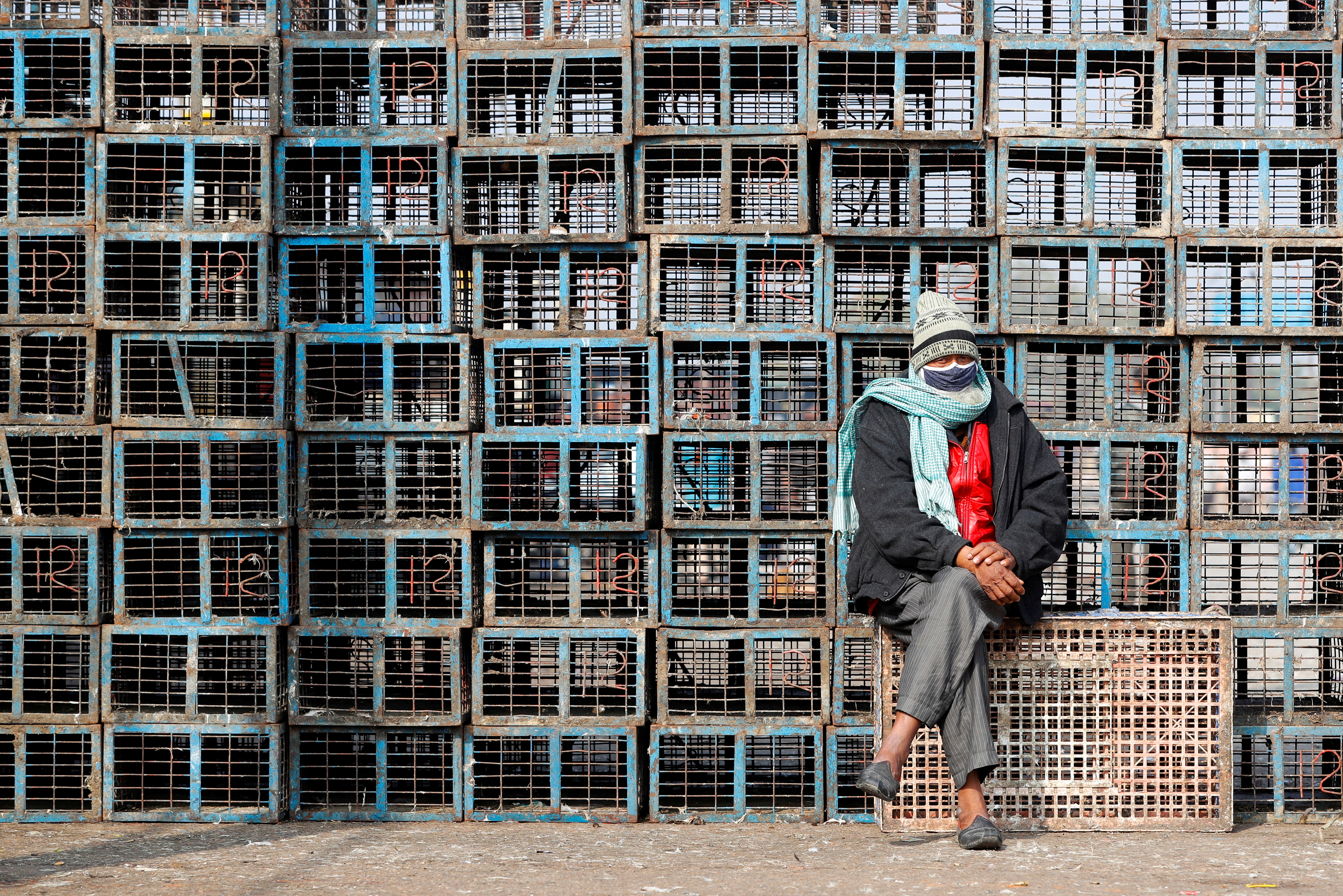 A worker sits next to empty chicken cages at a wholesale market in New Delhi