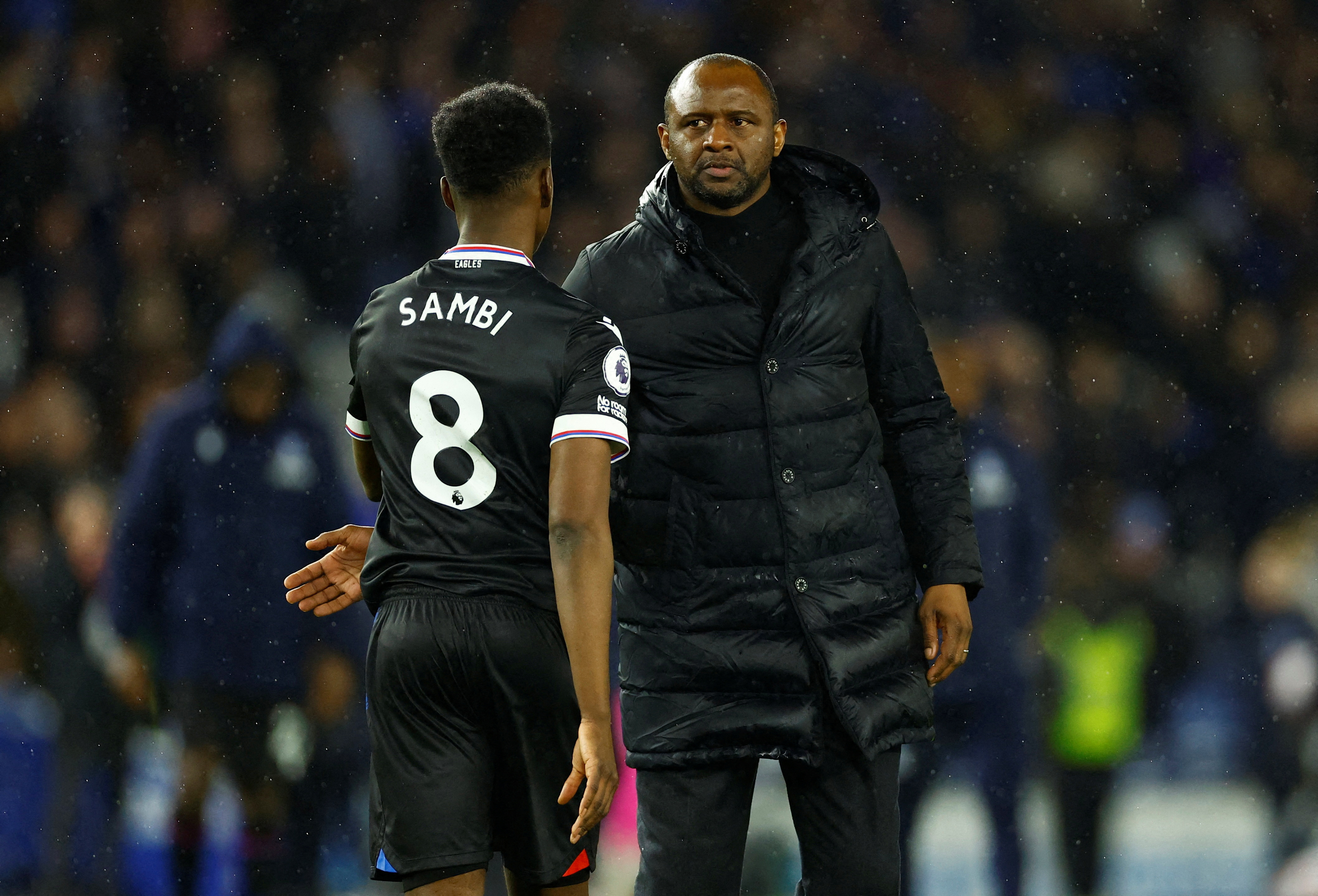 Premier League - Brighton & Hove Albion v Crystal Palace
