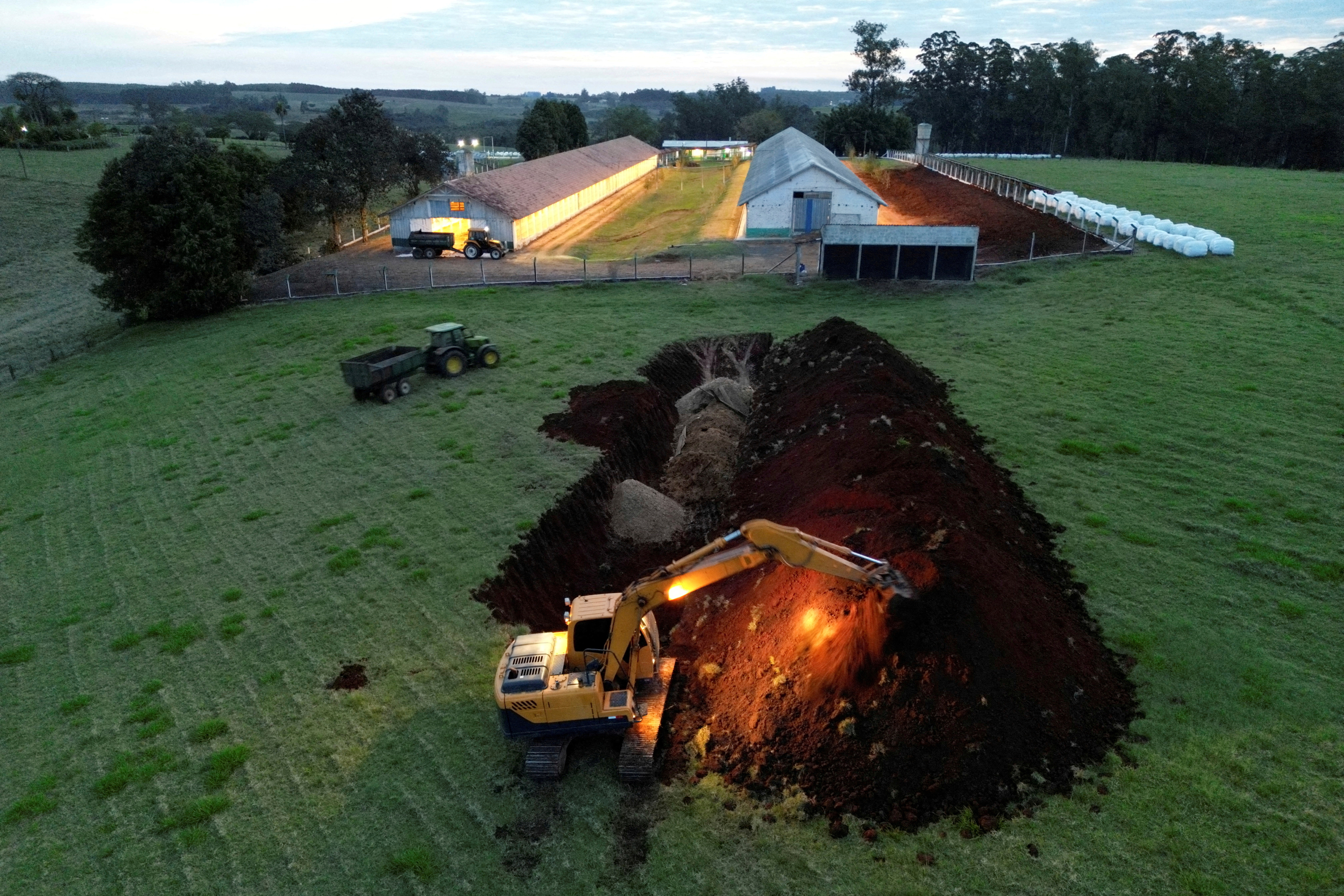 鳥豚　その他キャンセル 中国、ブラジル産鶏肉の禁輸解除検討 鳥インフル終息宣言受け | ロイター
