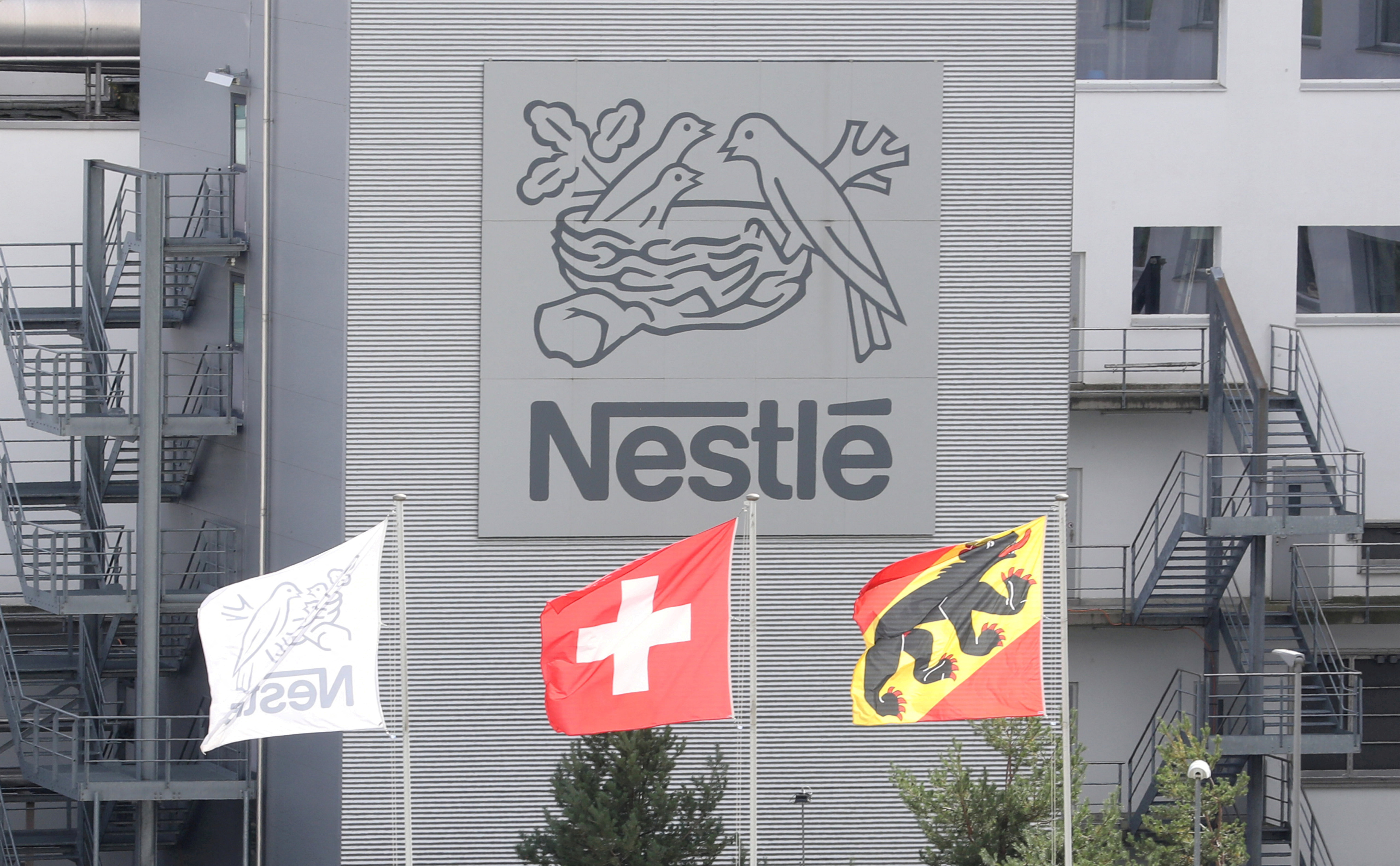 nestle products logo