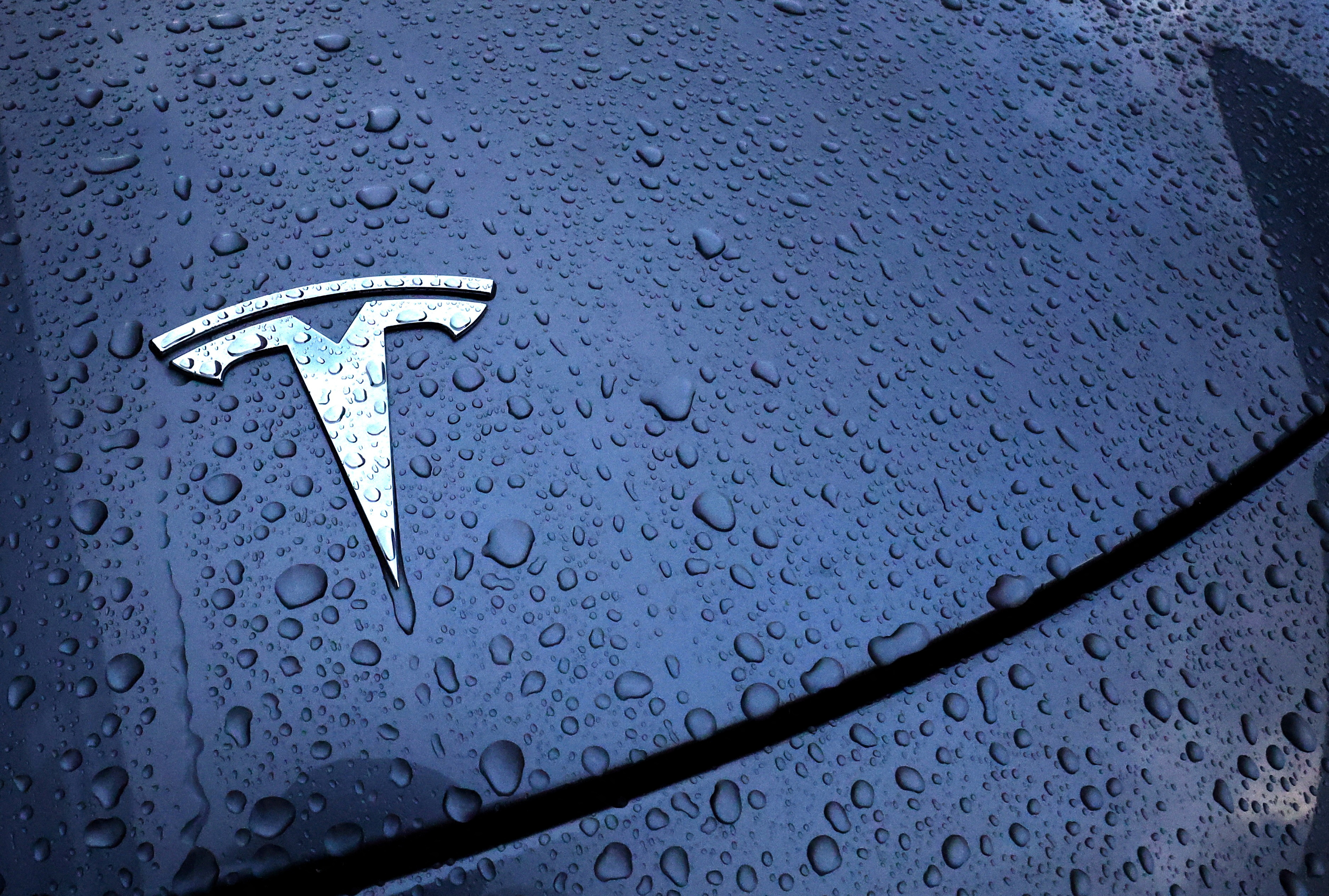 The logo of a Tesla electric vehicle is placed on a car in front of a dealership in Drogenbos