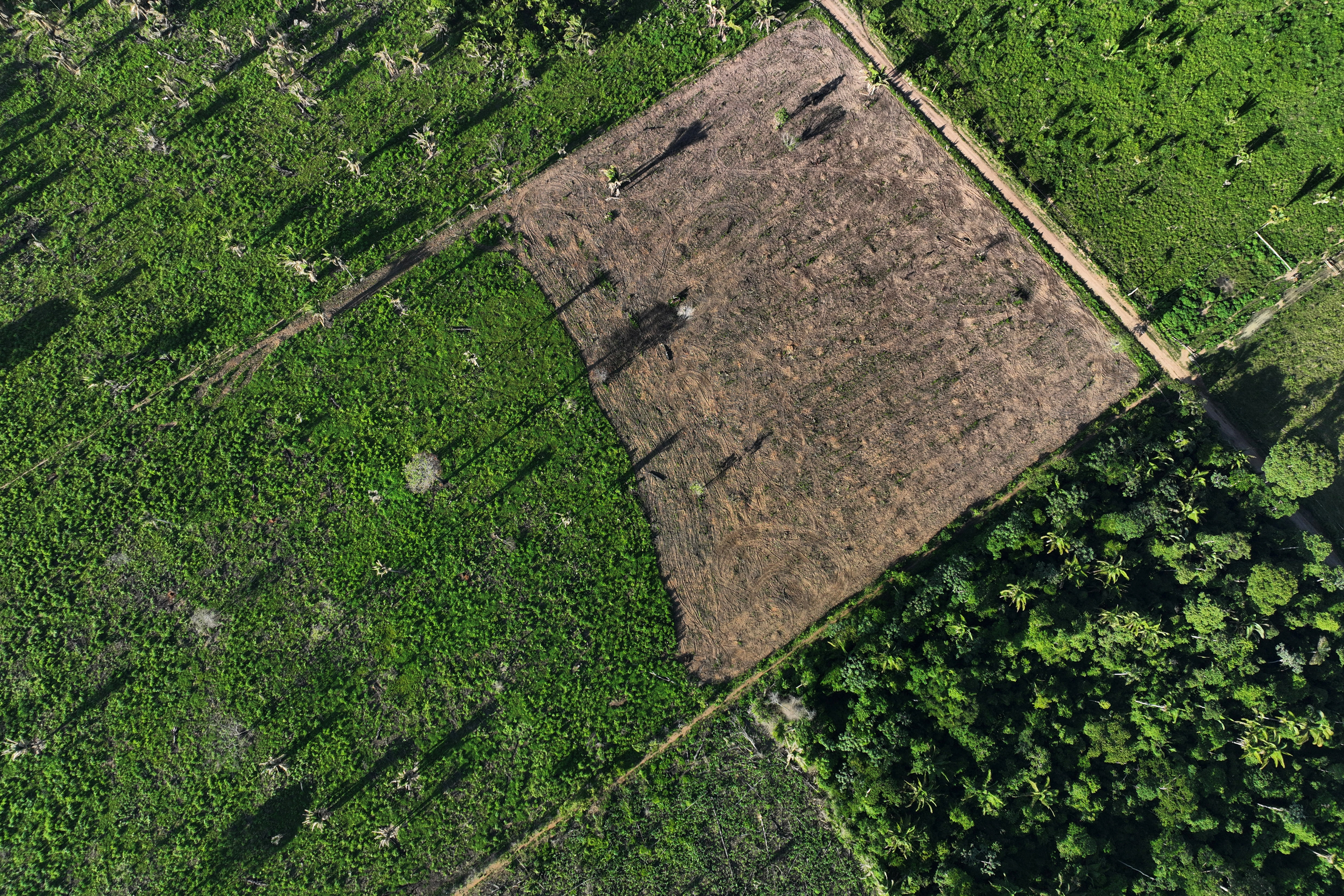 Lula's Amazon pledge looks distant as Brazil battles deforestation