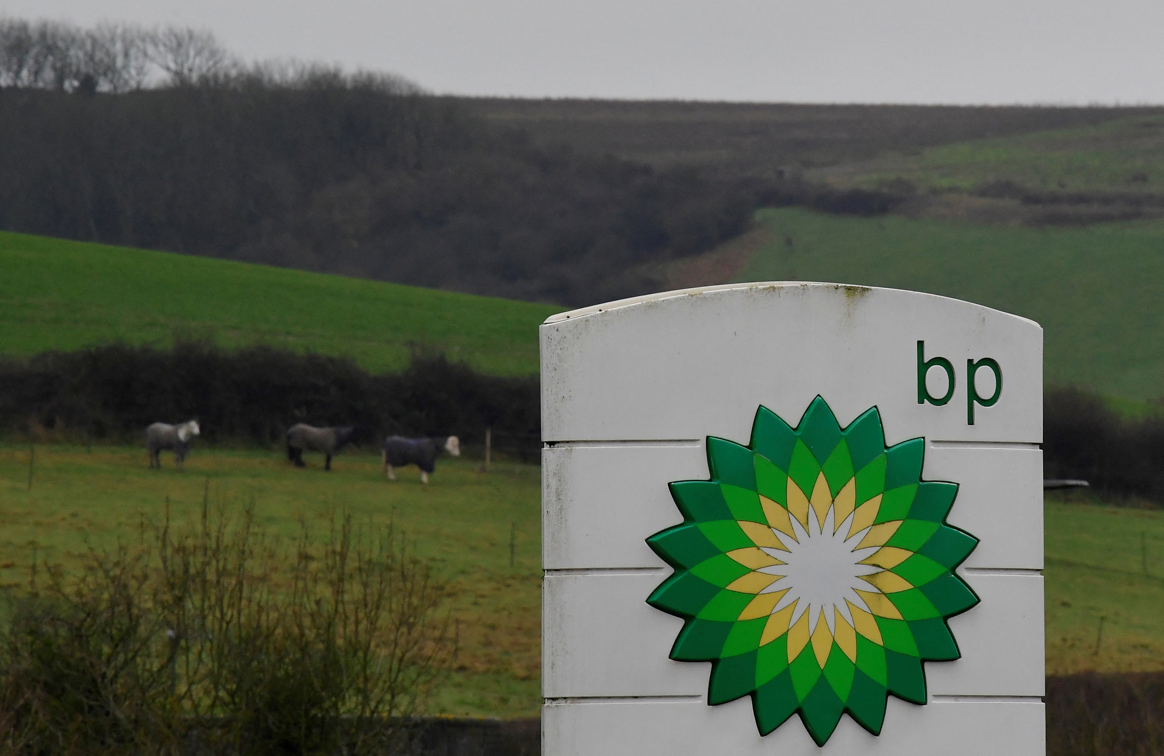 Signage is seen for BP (British Petroleum) at a service station near Brighton