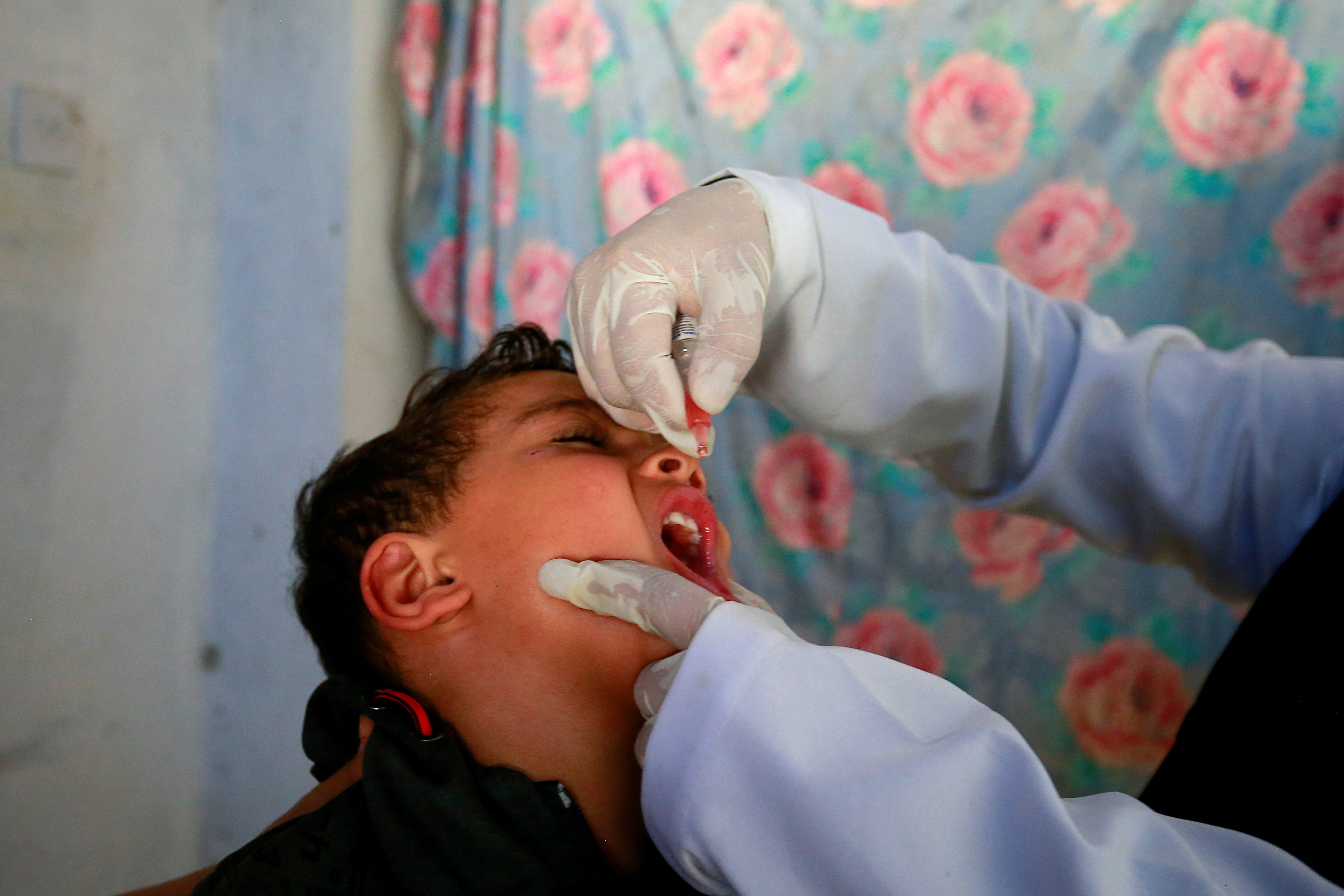 Boy receives a polio vaccine during a three-day immunization campaign in Sanaa
