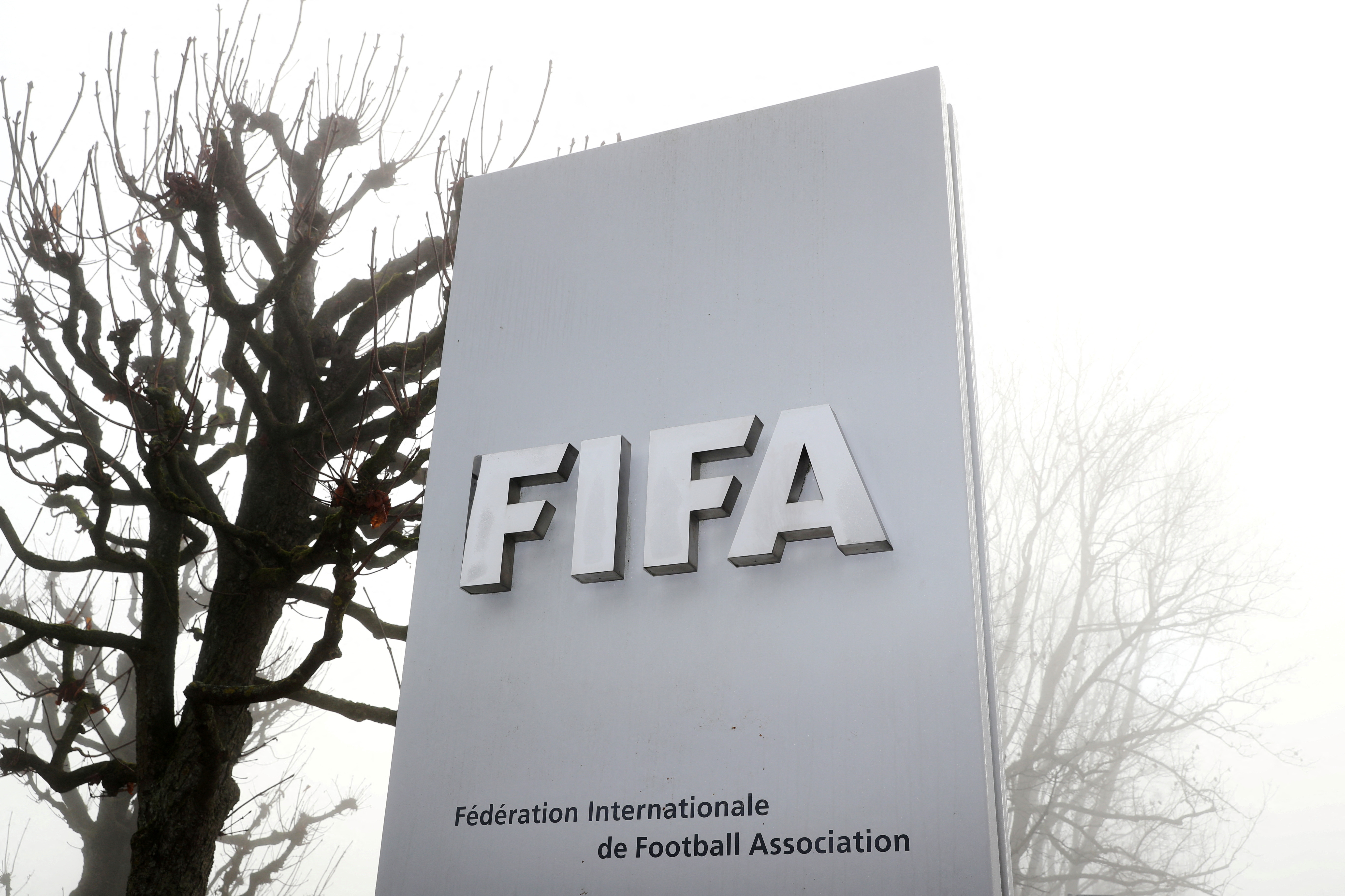 Chile loses FIFA appeal in World Cup case with Ecuador, Qatar World Cup  2022 News