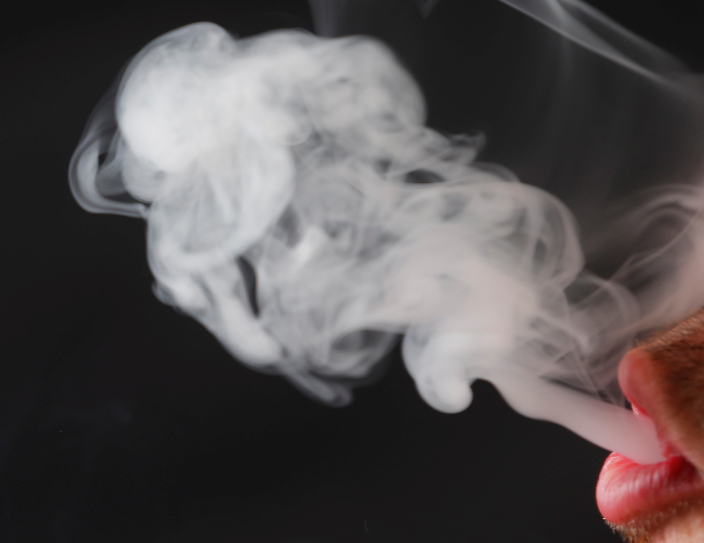 Exclusive: FDA nicotine pouch pilot to ease manufacturers' research burden,  transcript shows