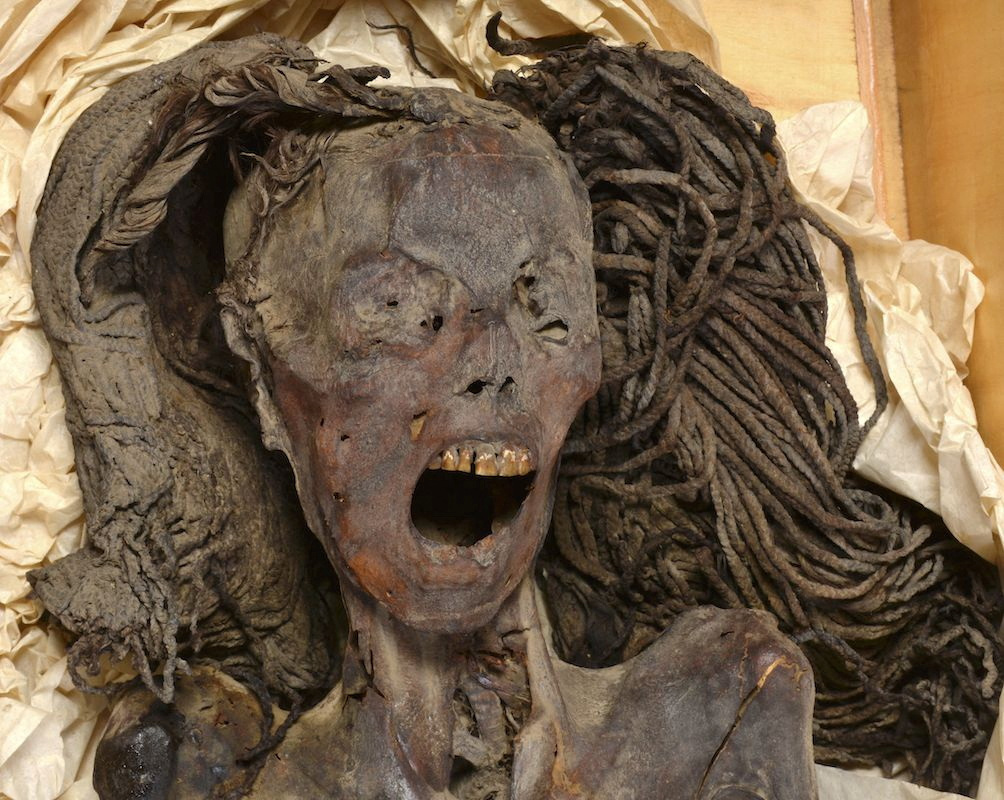 Ancient Egypt's 'screaming' mummy woman may have died in agony | Reuters