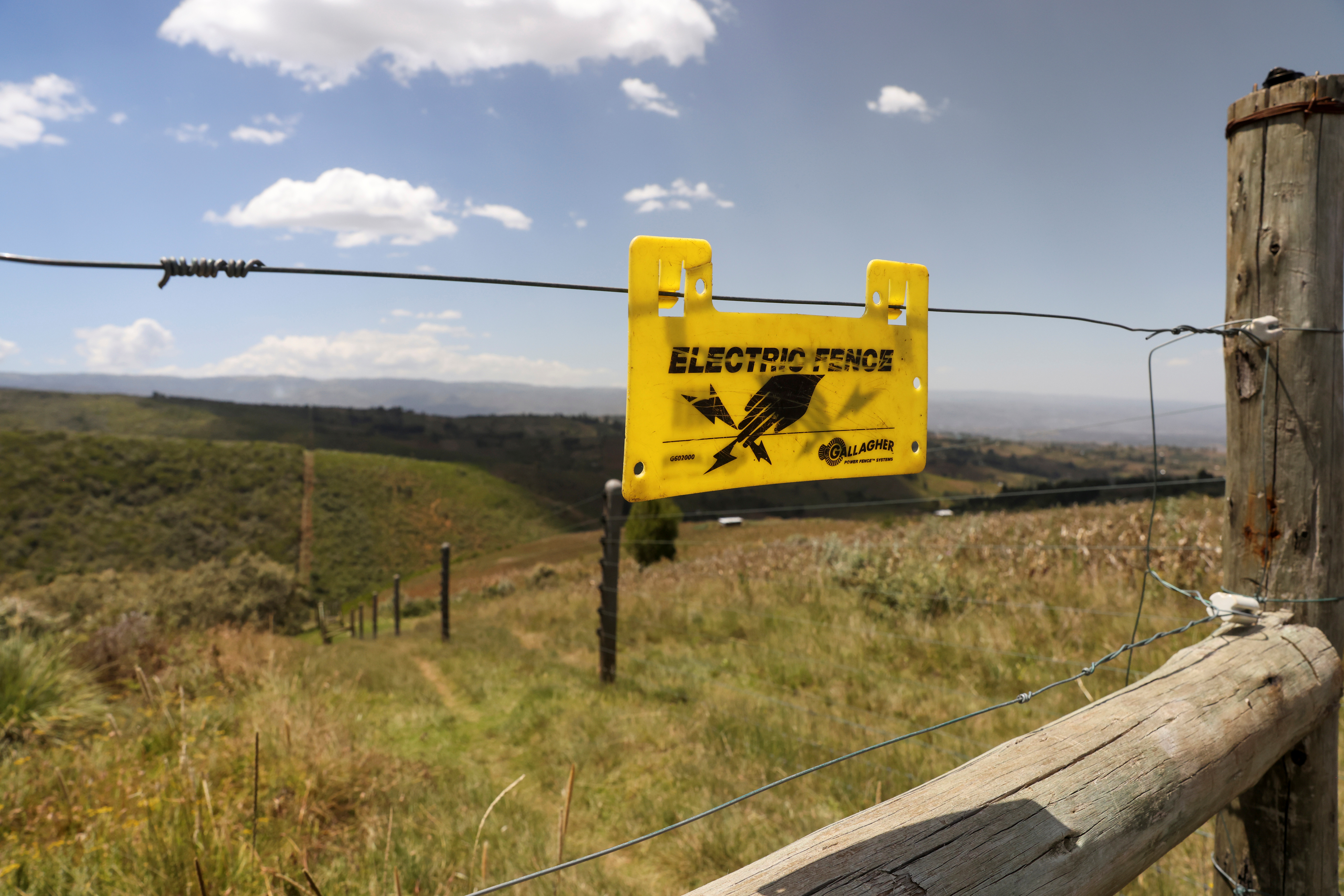 An electric fence separates agricultural land and the Eburru forest reserve