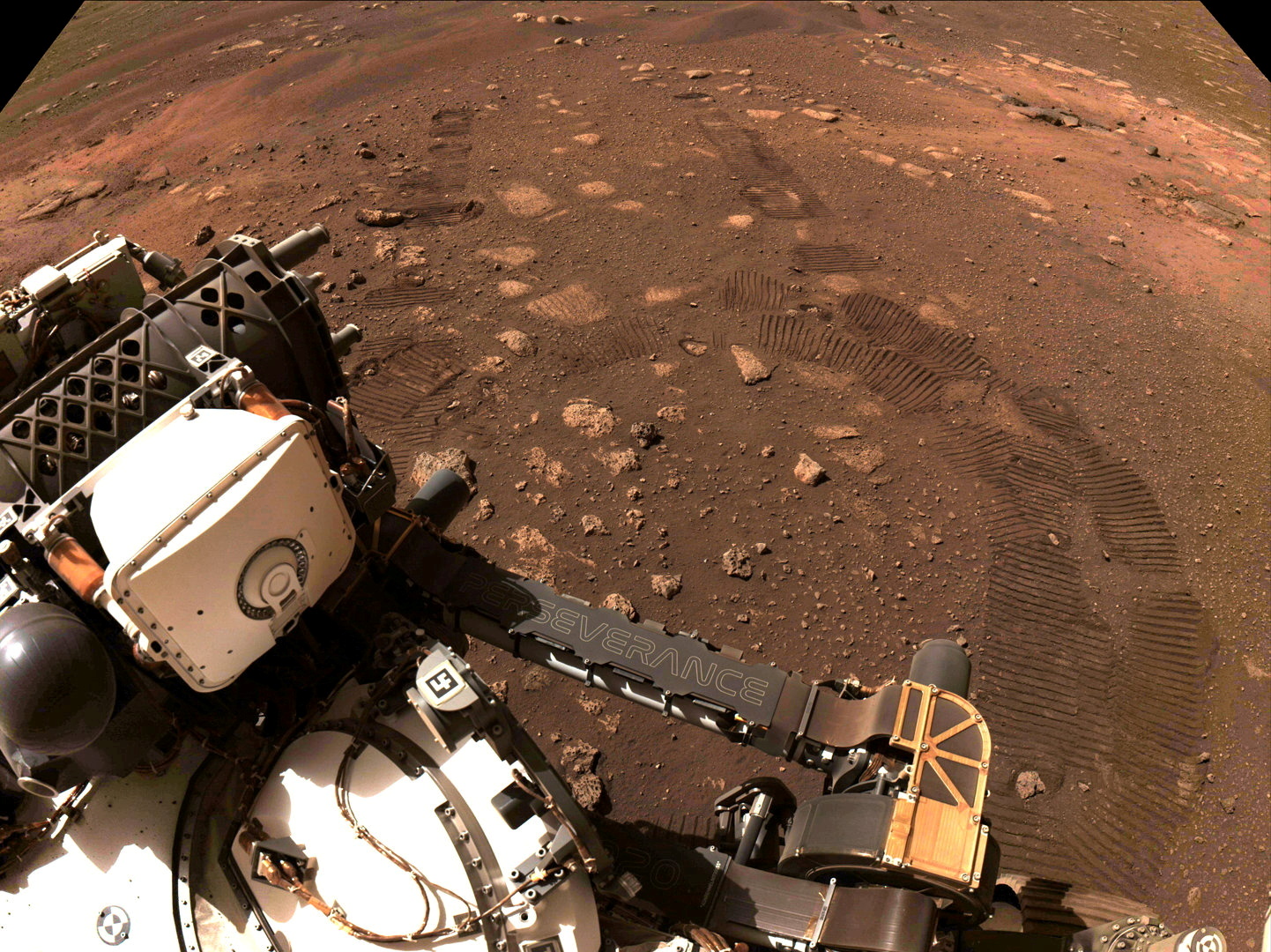 NASA rover Perseverance collects first Martian rock sample | Reuters