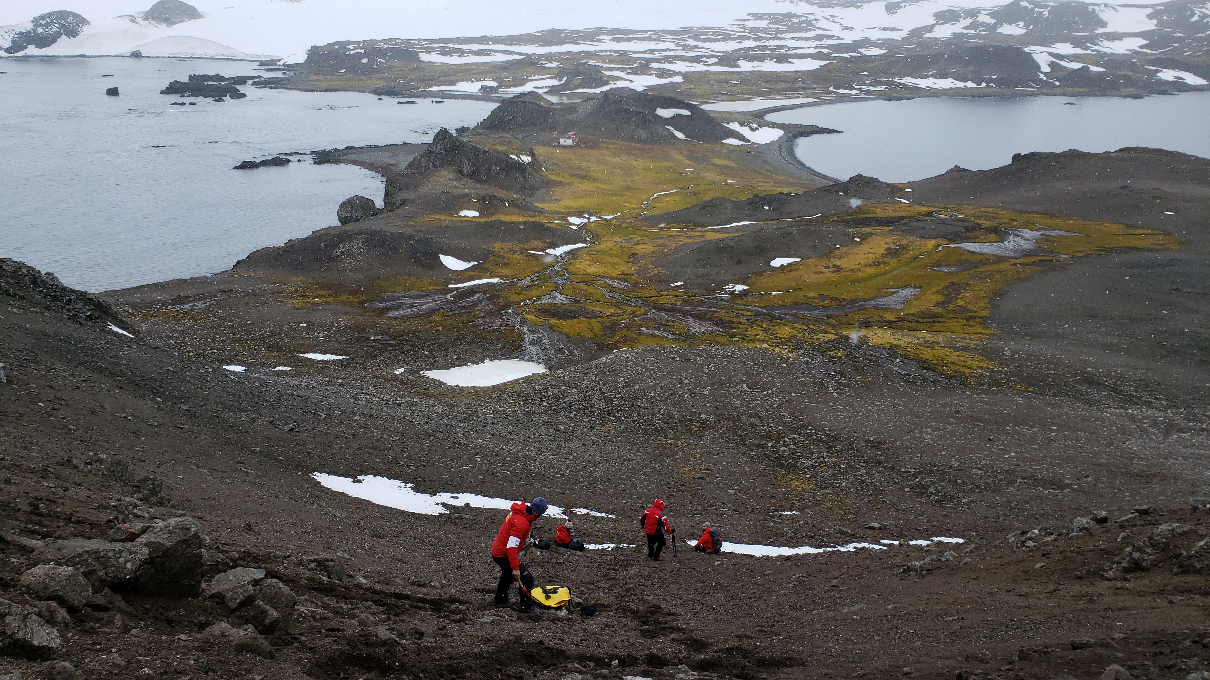 Scientists from the University of Chile collect organic material as they look for a bacteria discovered in Antarctica