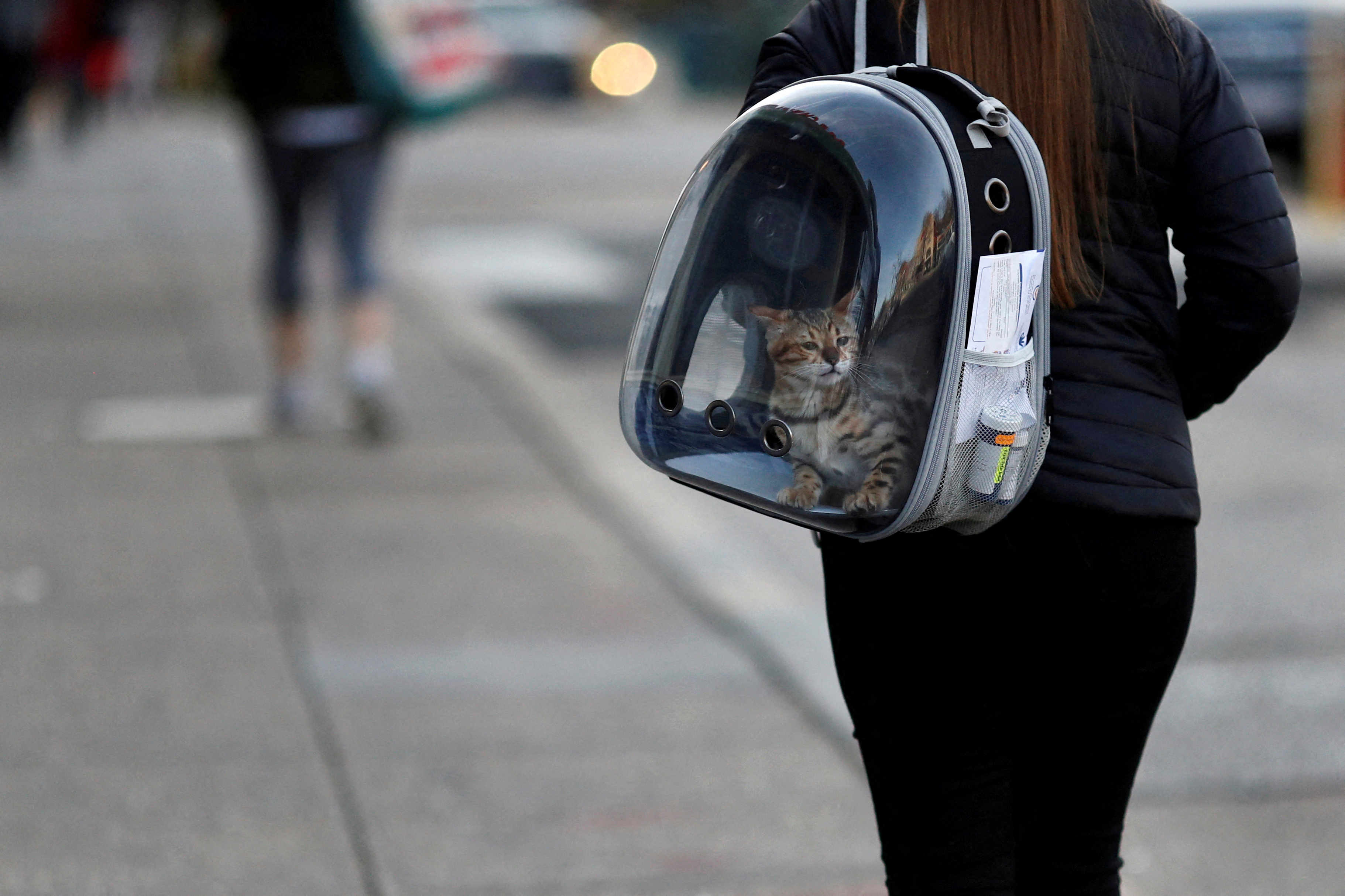 A woman carries her pet cat inside of a backpack as she walks along a street in downtown Washington, U.S., March 11, 2020. REUTERS/Carlos Barria