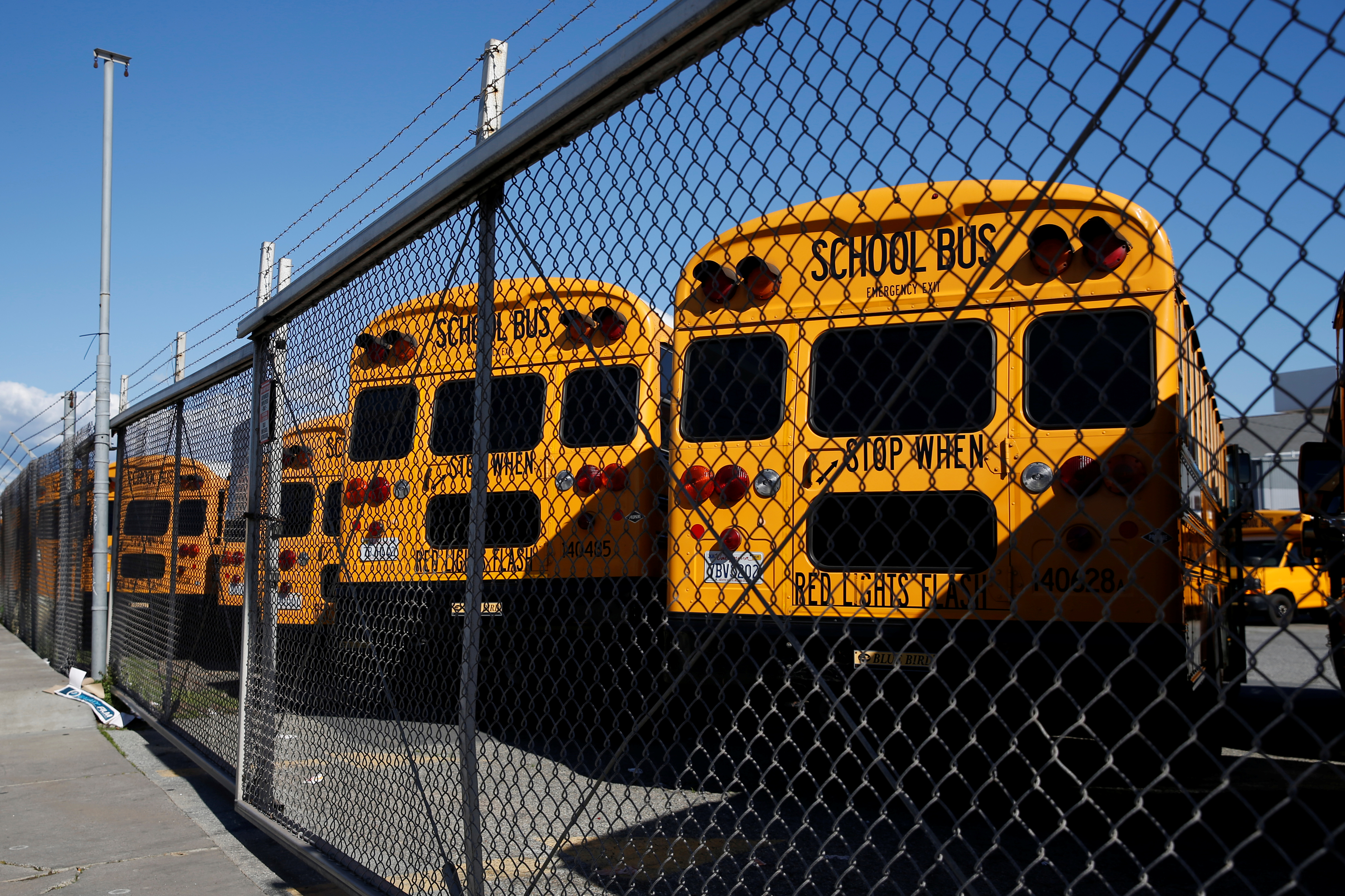 School buses parked