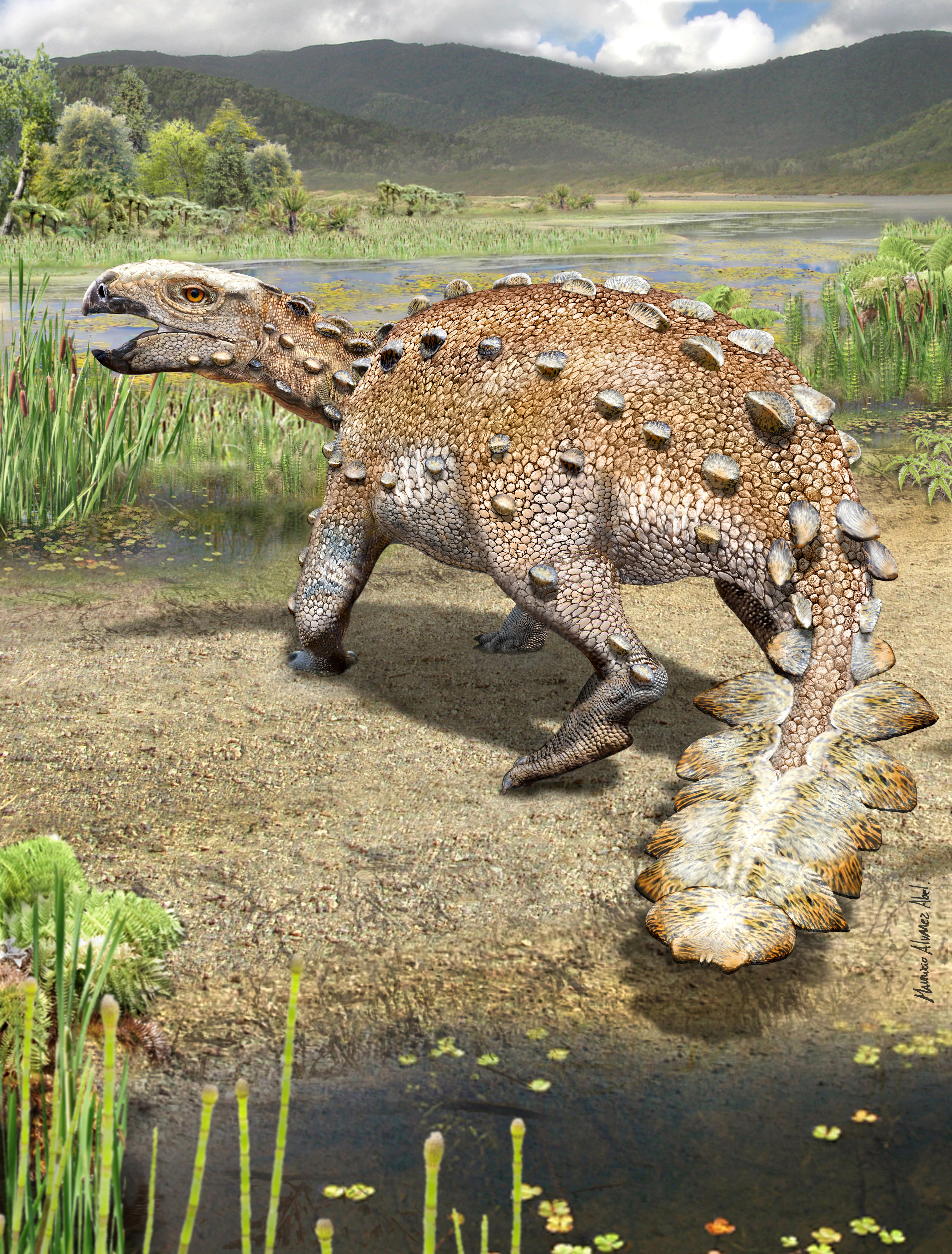 Armored dinosaur wielded a tail resembling an Aztec war club | Reuters