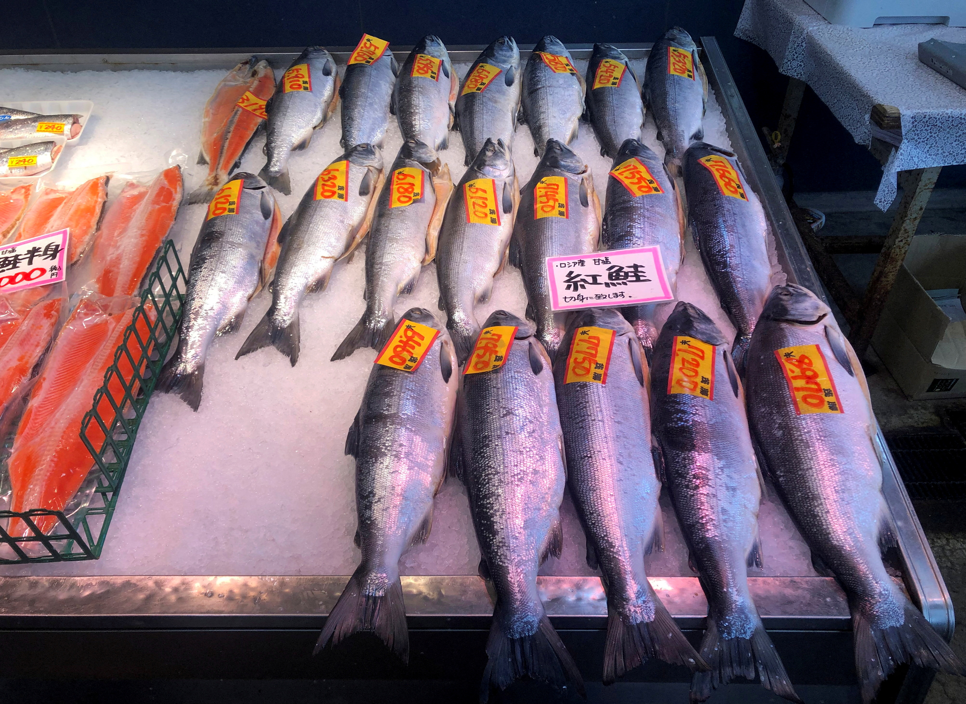 Russian salmon are displayed at a fish store in Nemuro