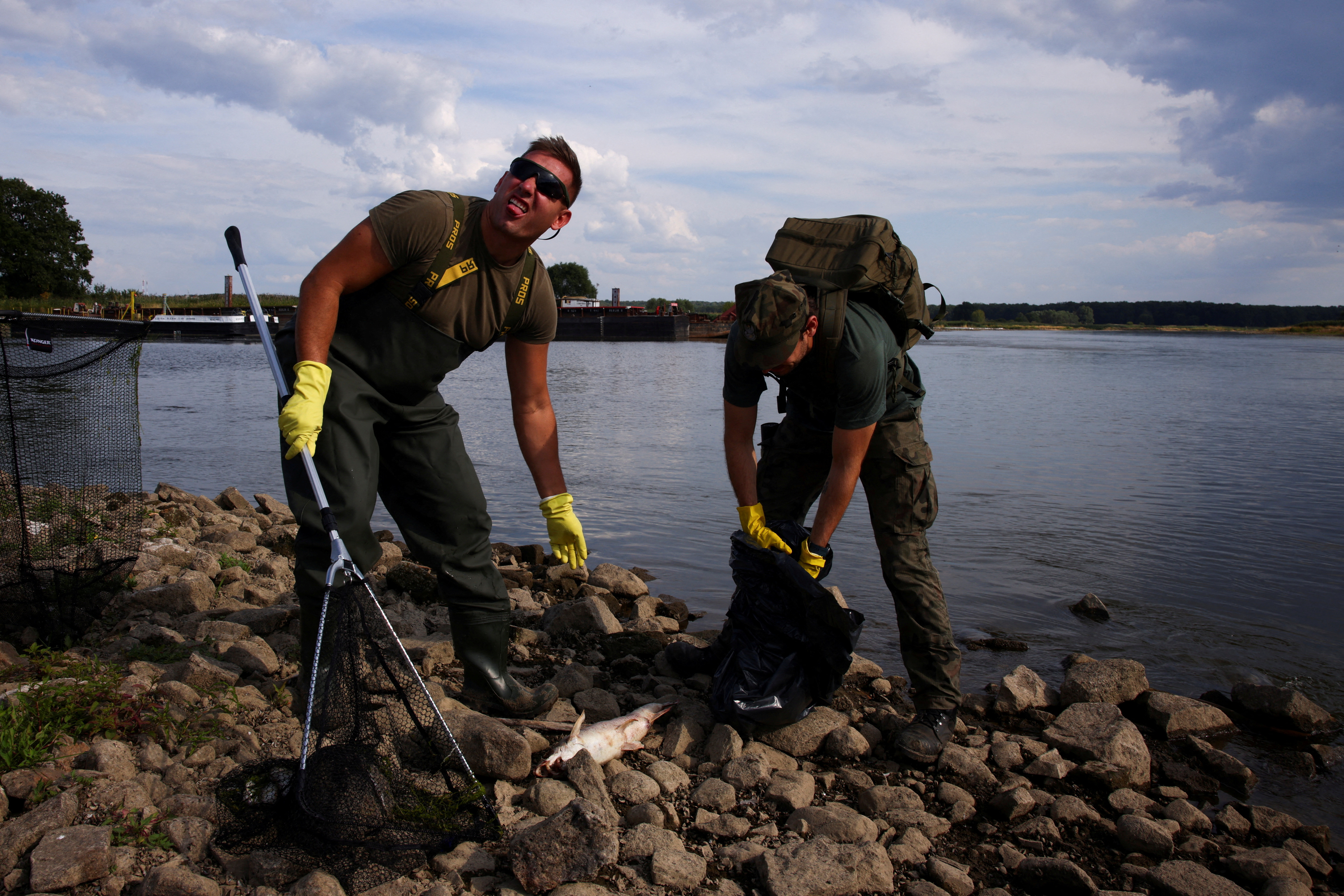 Members of the Polish Armed Forces remove dead fish from Oder river, in Slubice