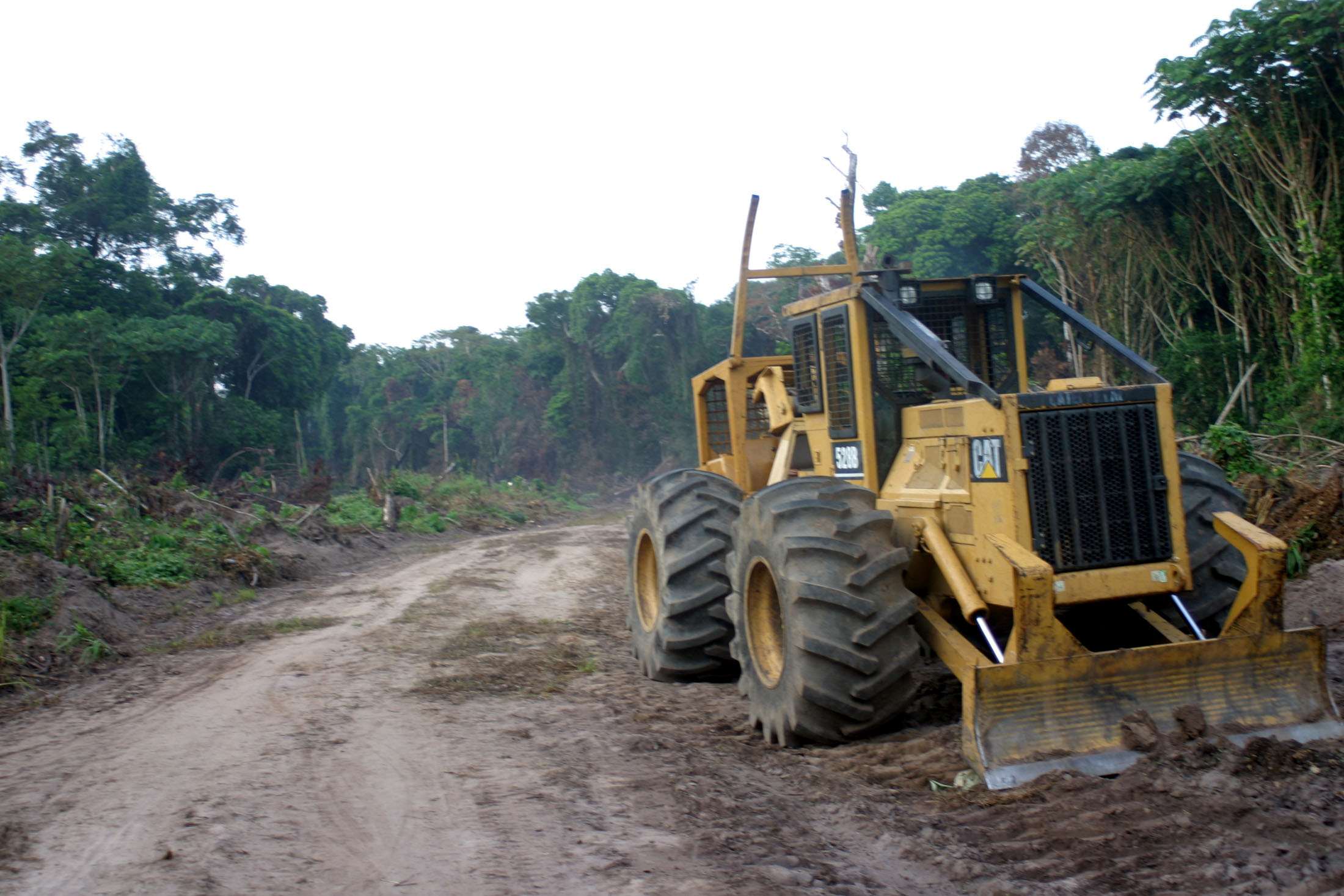 Logging company's tractor sits on the side of a road in Equateur