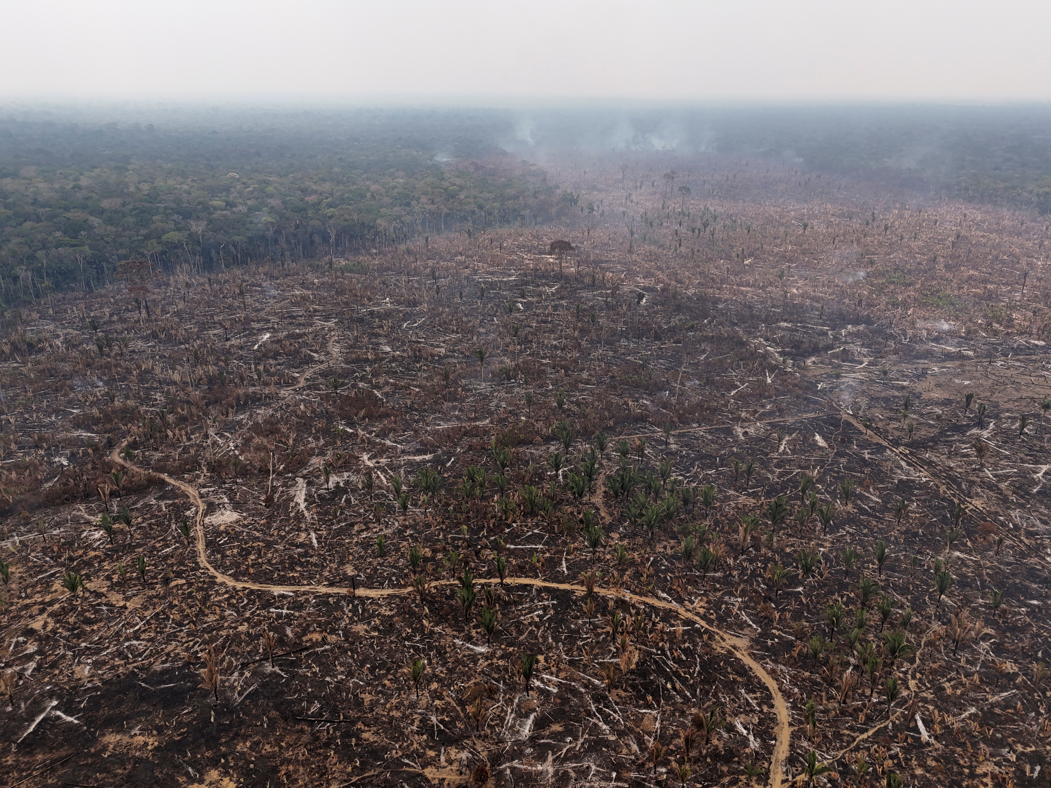 Drought affecting the Amazon