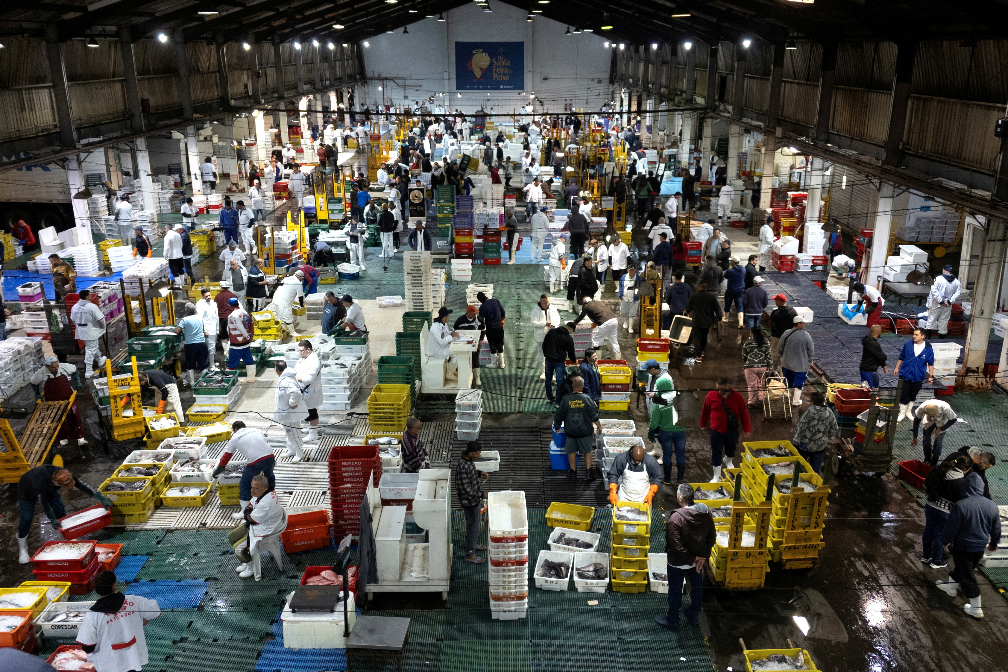 コロナ禍の秩序 コロナ禍は序章にすぎない！ 新パンデミックは必ず人類を襲う』（奥田