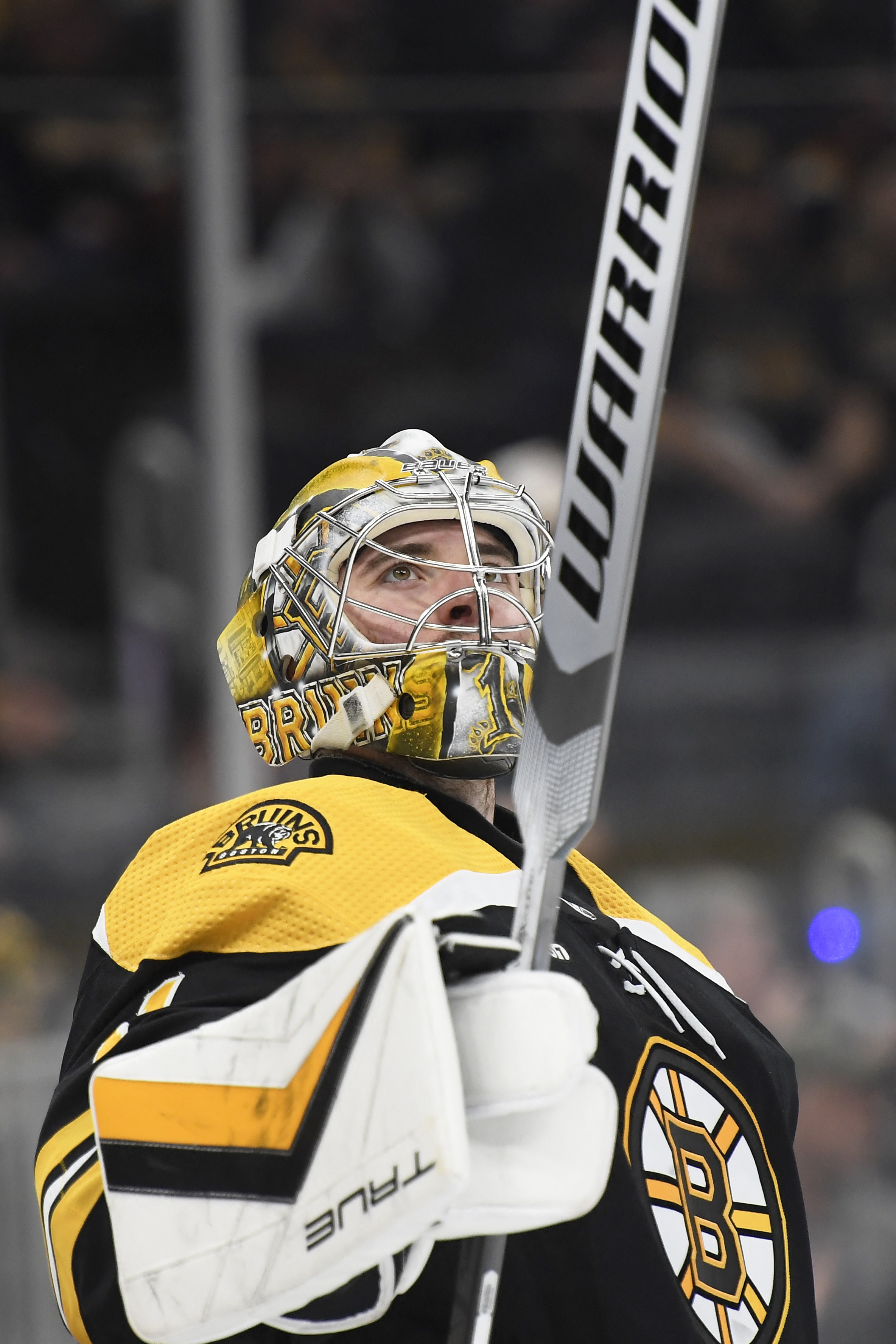 Will The Senators Stun The Bruins? Our Prediction Is In! - 5csxzz5