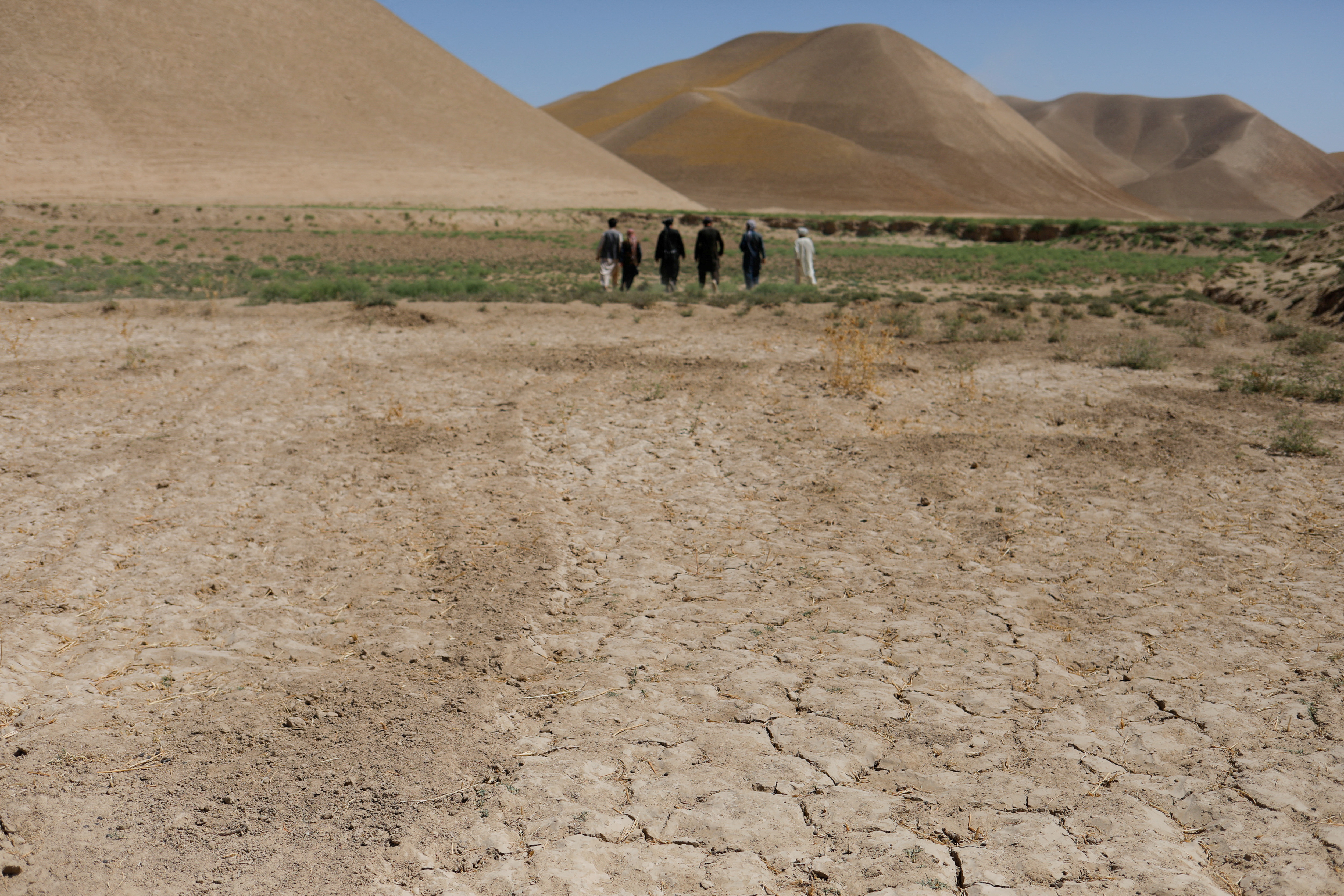 Parched field is pictured in Balkh province