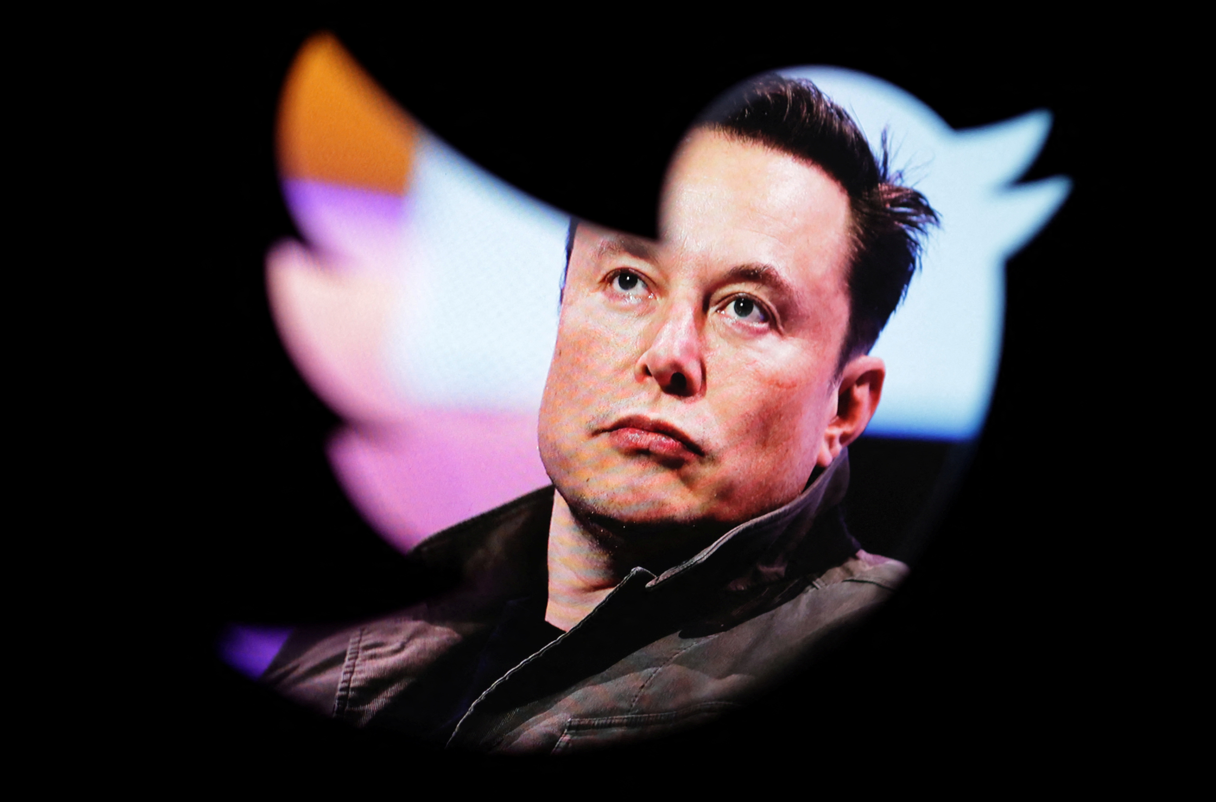 Elon Musk's photo and Twitter logo