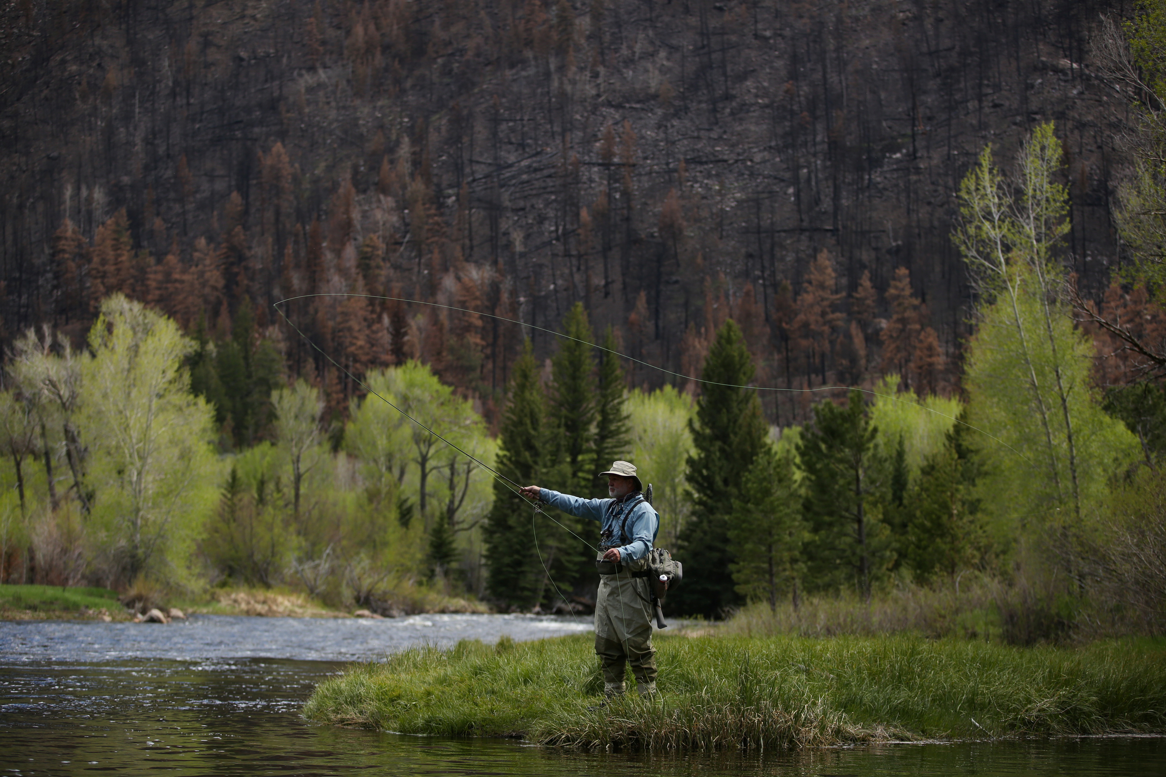 A fly fisherman tries his luck on the Poudre River inside the Cameron Peak fire burn scar west of Fort Collins