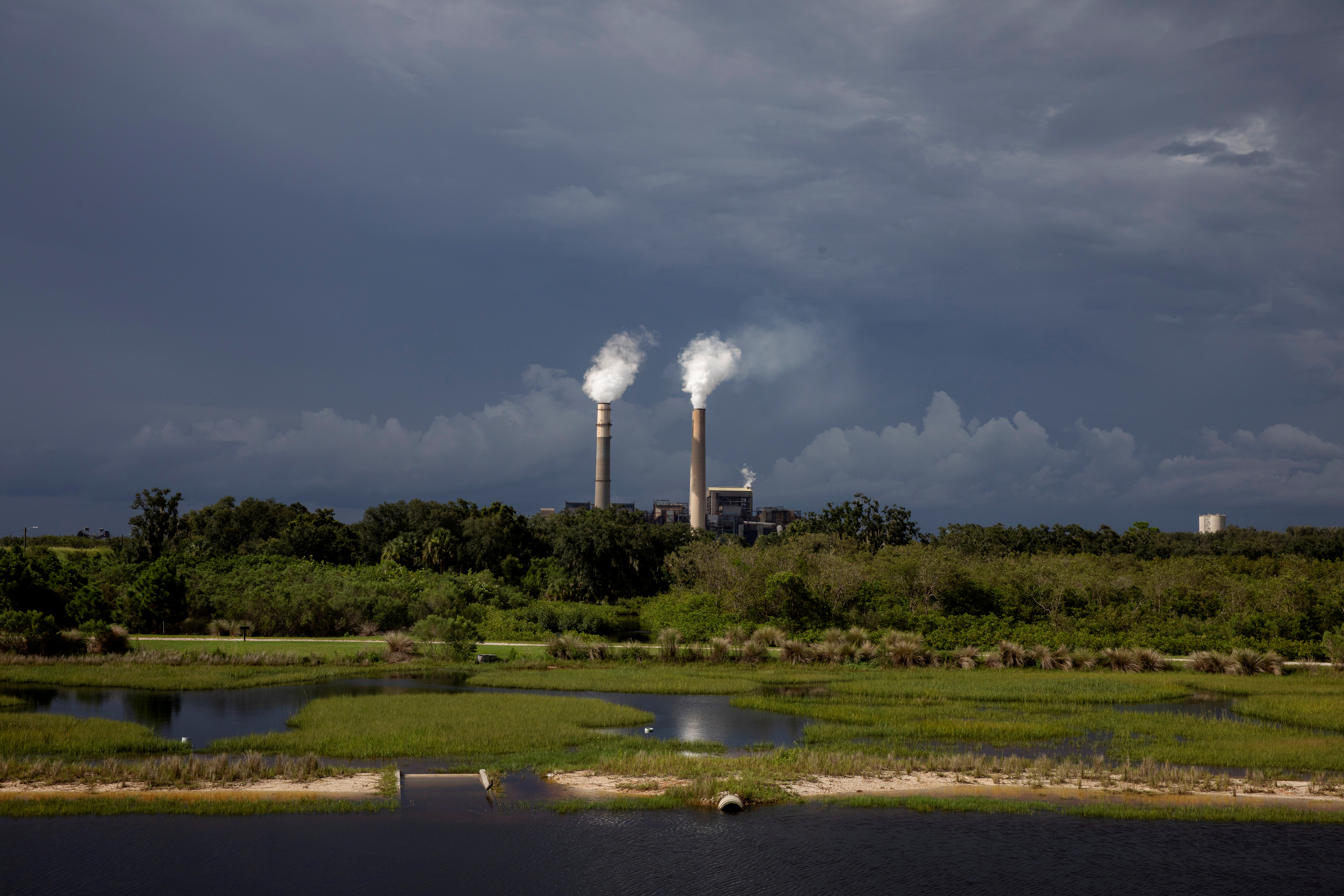 Steam rises out of chimneys at the Big Bend Power Station owned and operated by Tech Energy in Apollo Beach, Florida