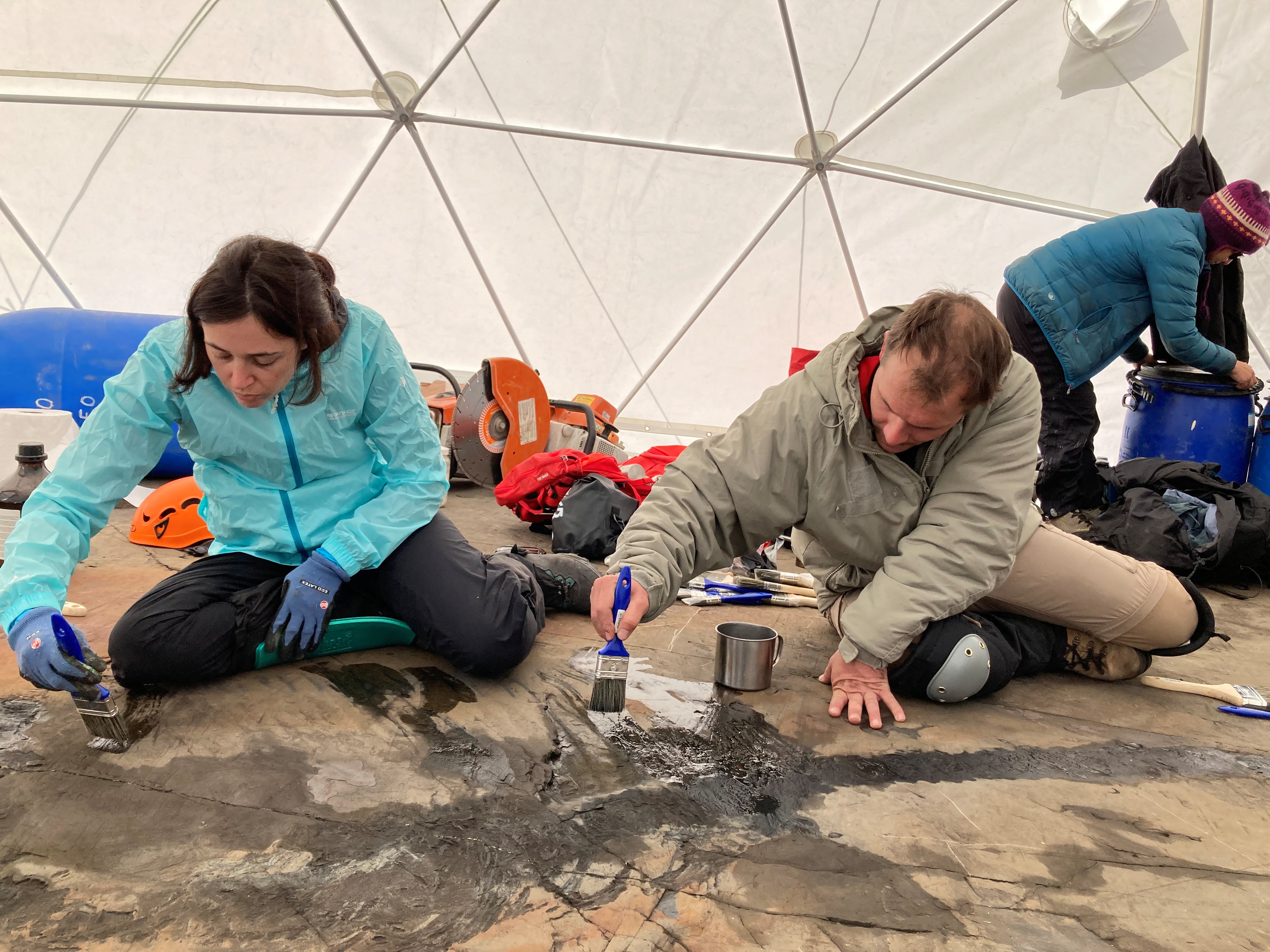 Paleontologists of the GAIA Antarctic Research Center of the University of Magallanes recover the first fossil of a four-meter Ichthyosaur at Tyndall Glacier area in the Chilean Patagonia, Magallanes