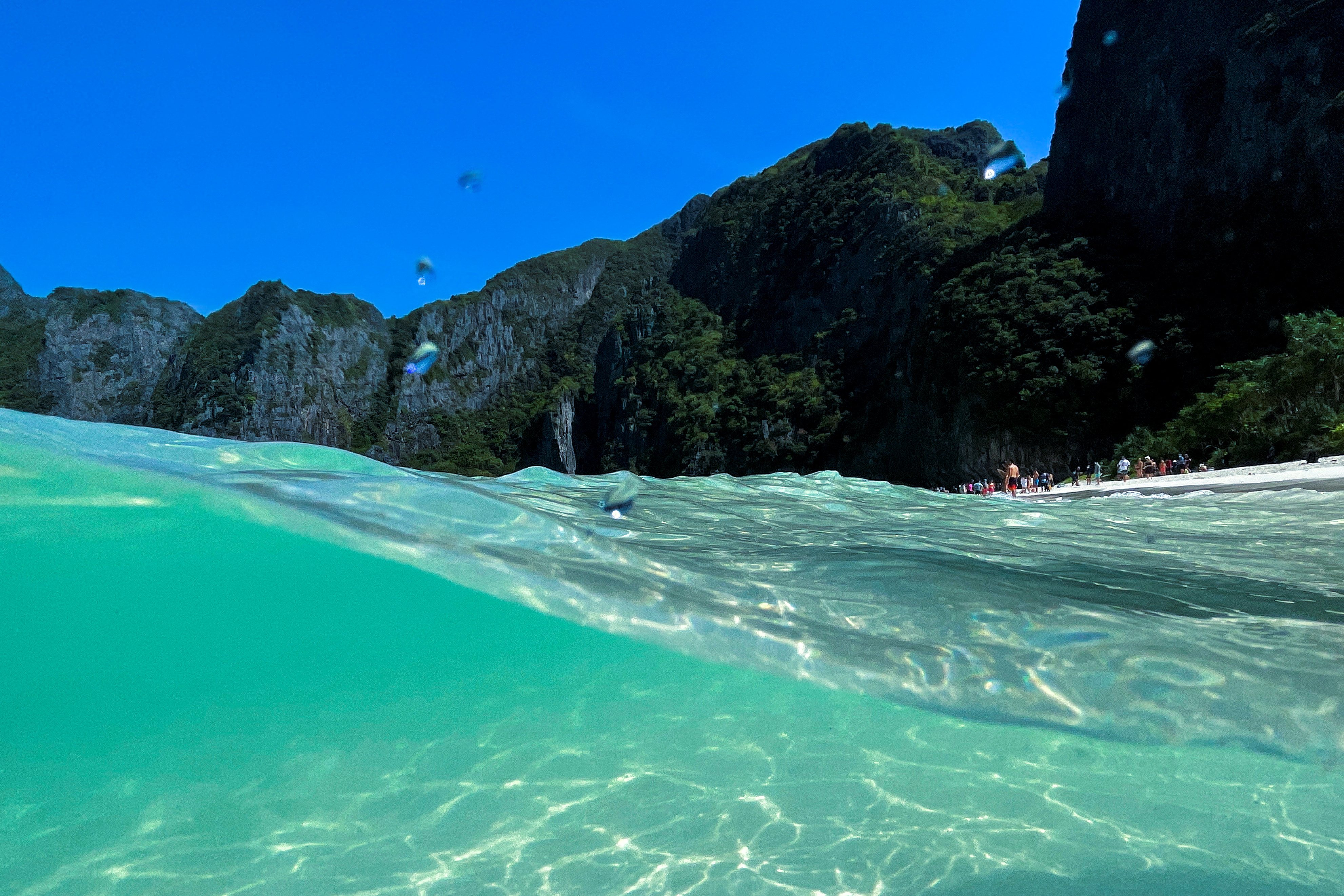 Thailand allows visitors back to beach made famous by movie