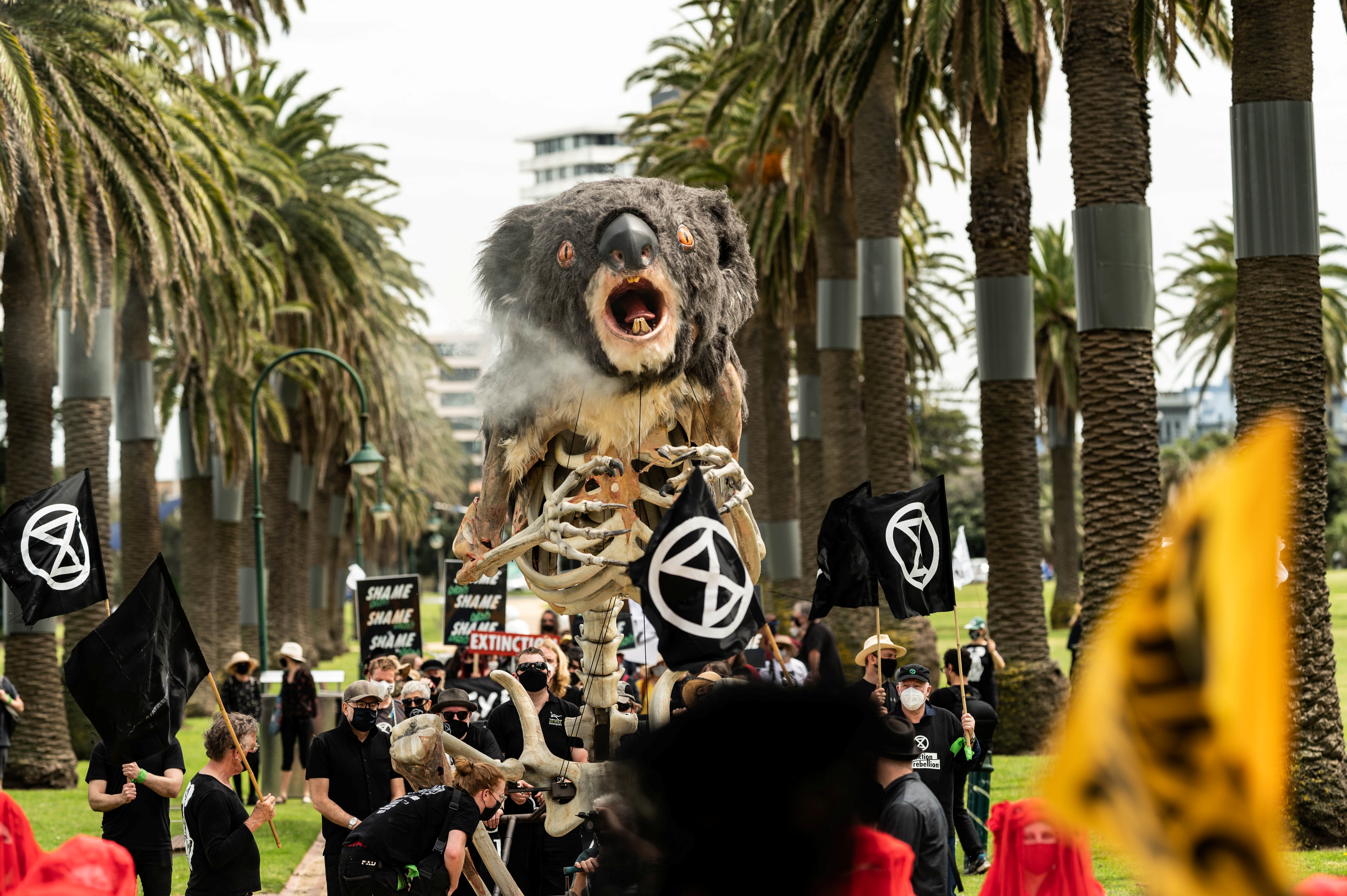 Extinction Rebellion activists hold a koala funeral in Melbourne