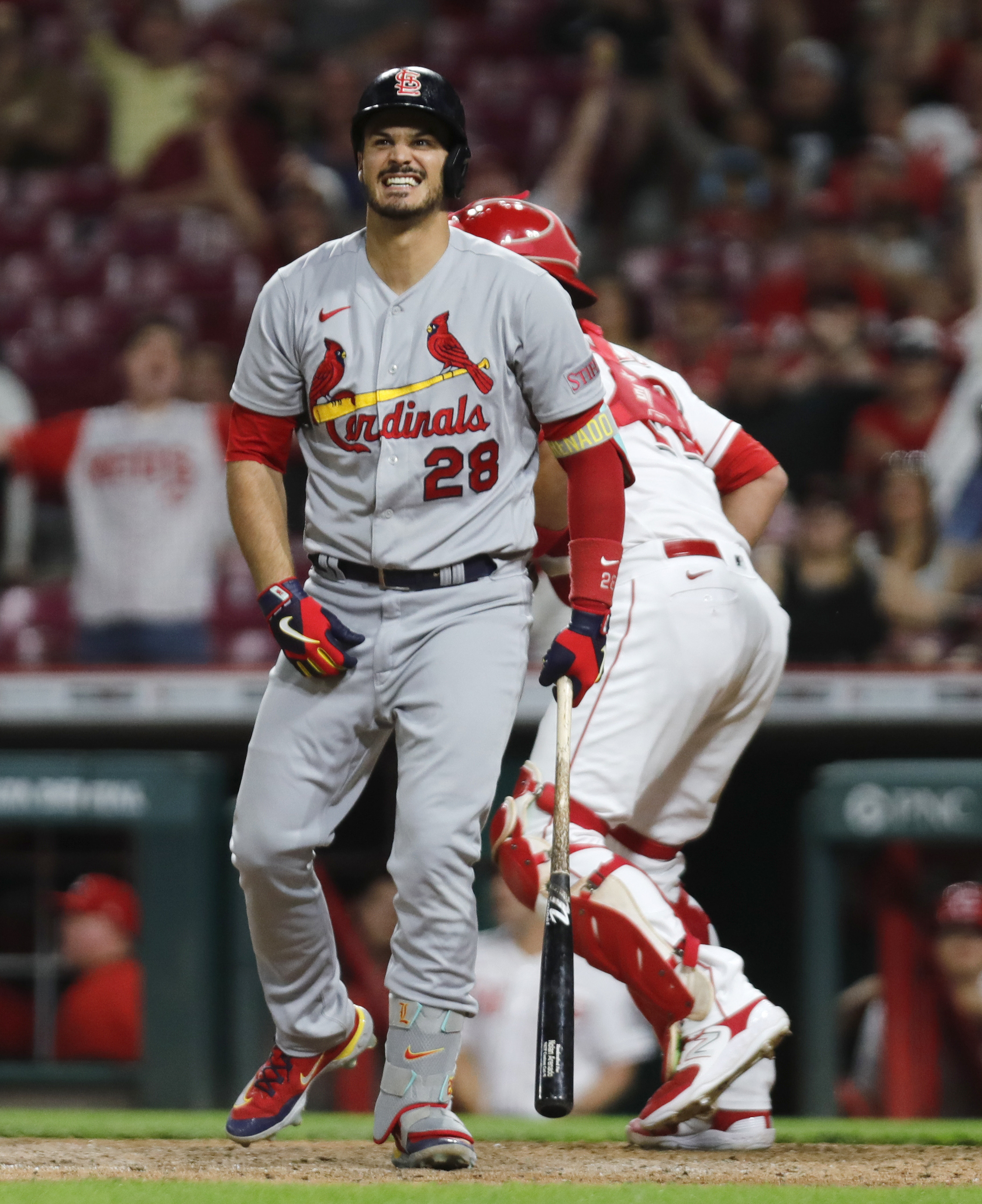 MLB: Cincinnati Reds at St. Louis Cardinals, Fieldlevel