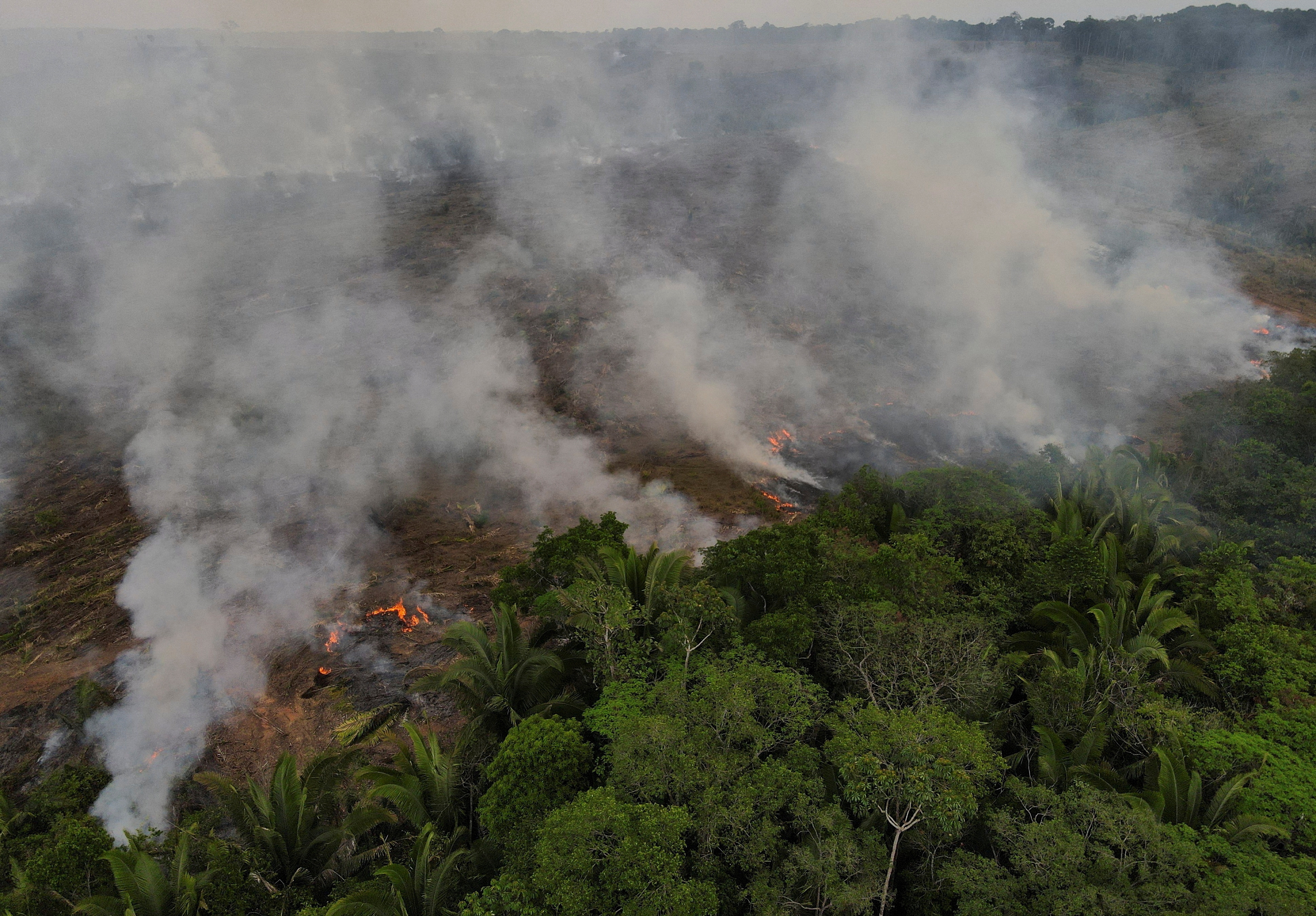 The Air is Unbearable”: Health Impacts of Deforestation-Related Fires in  the Brazilian