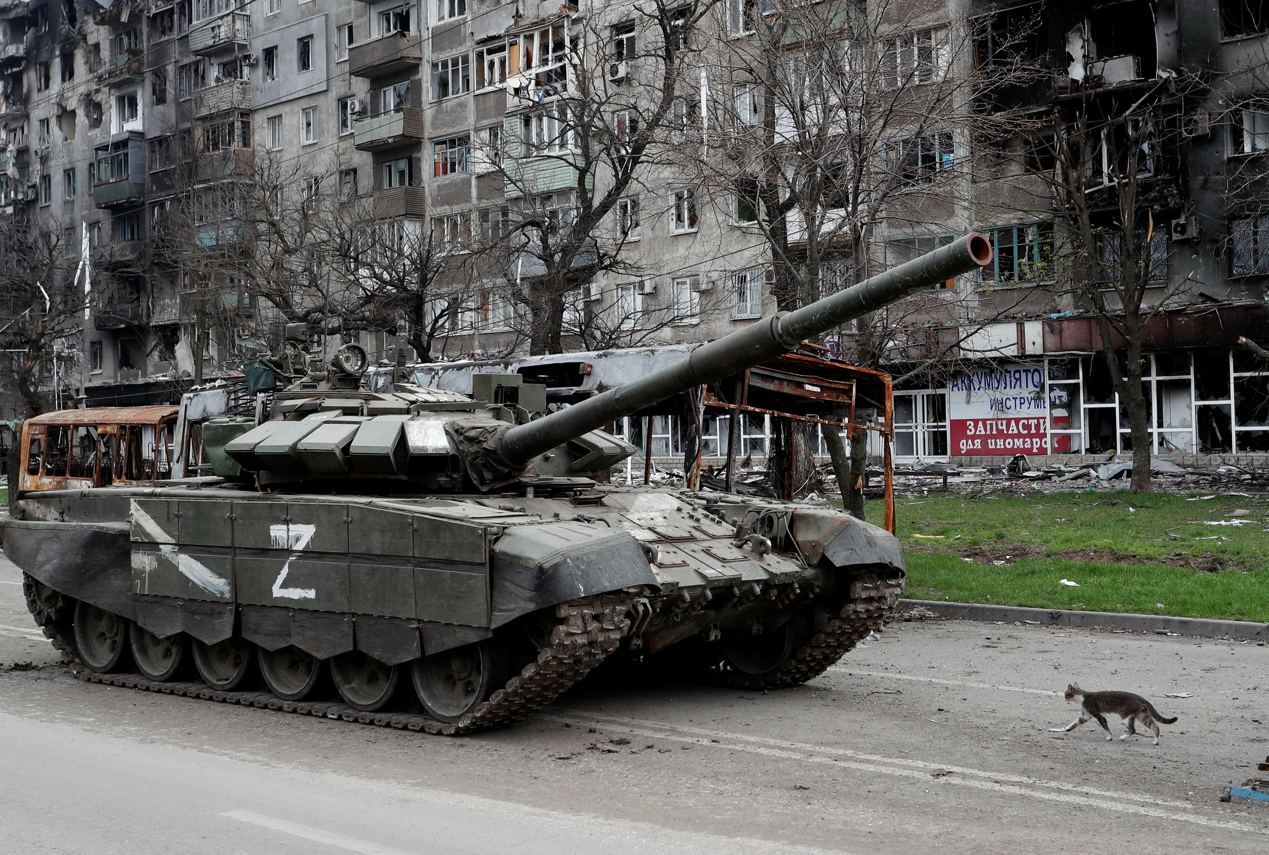 A cat walks next to a tank of pro-Russian troops in Mariupol