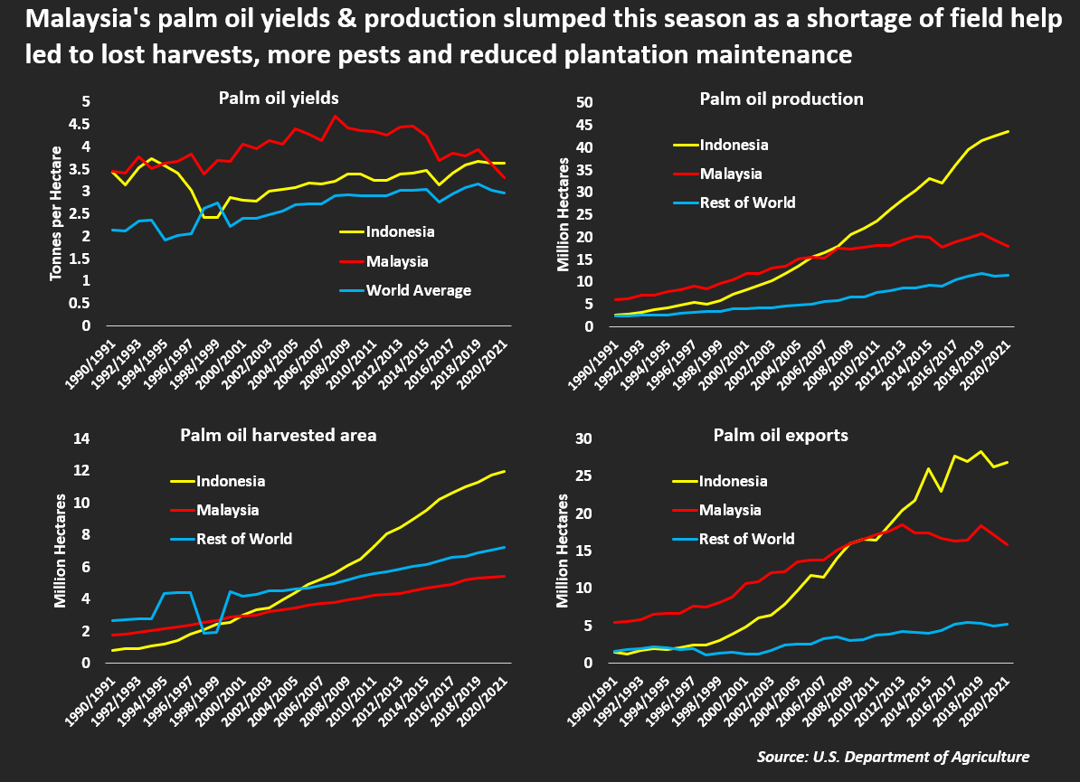 Malaysia vs Indonesia palm oil yields & production