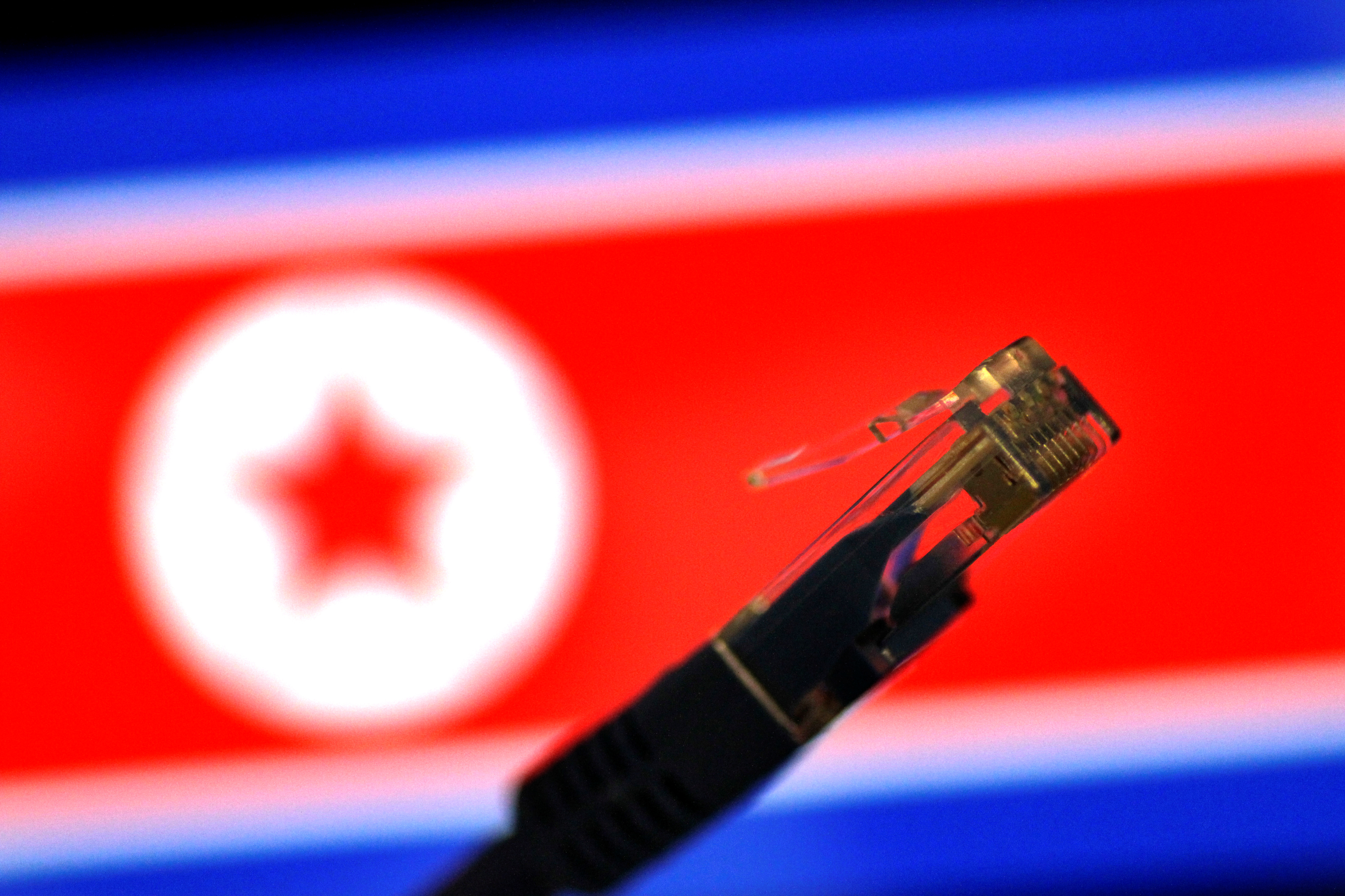 Illustration photo of a network cable against a North Korean flag